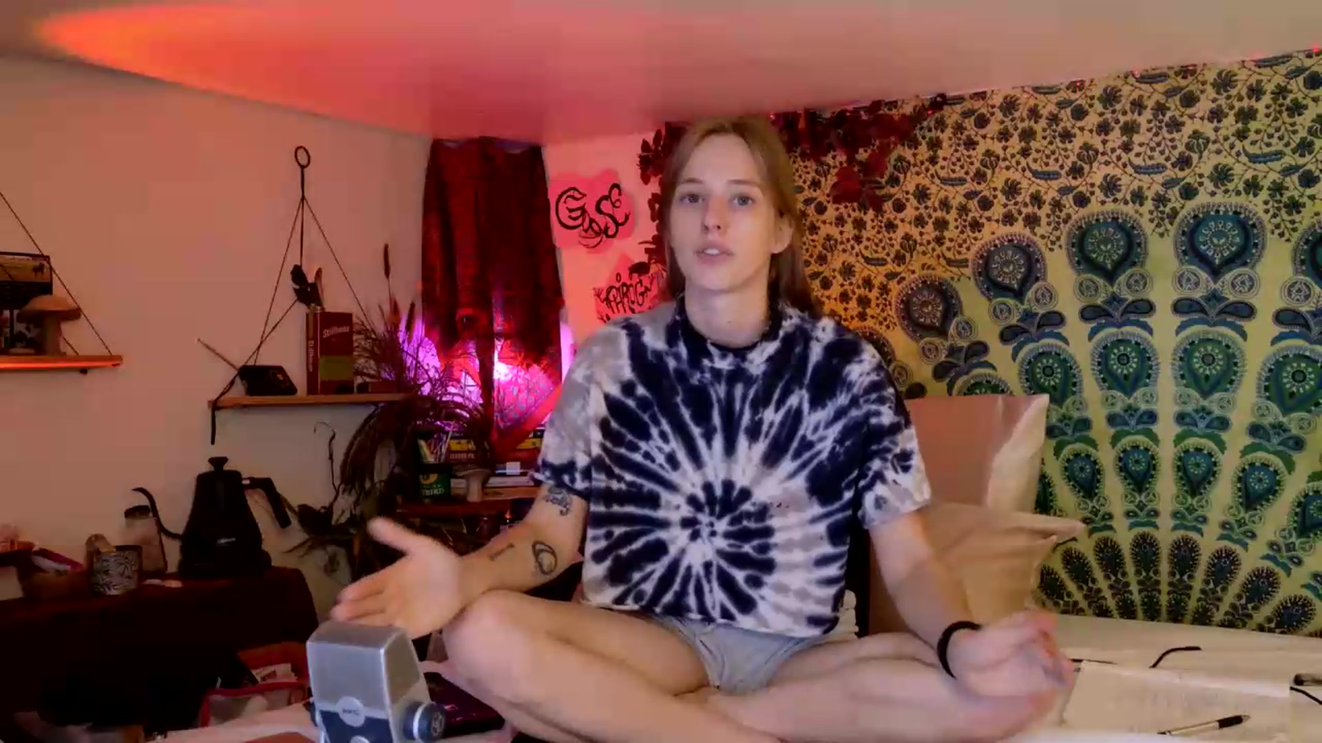 Gallery image thumbnail from ellispierce's myfreecams stream on, 06/29/2026, 07:37 image 3 of 20