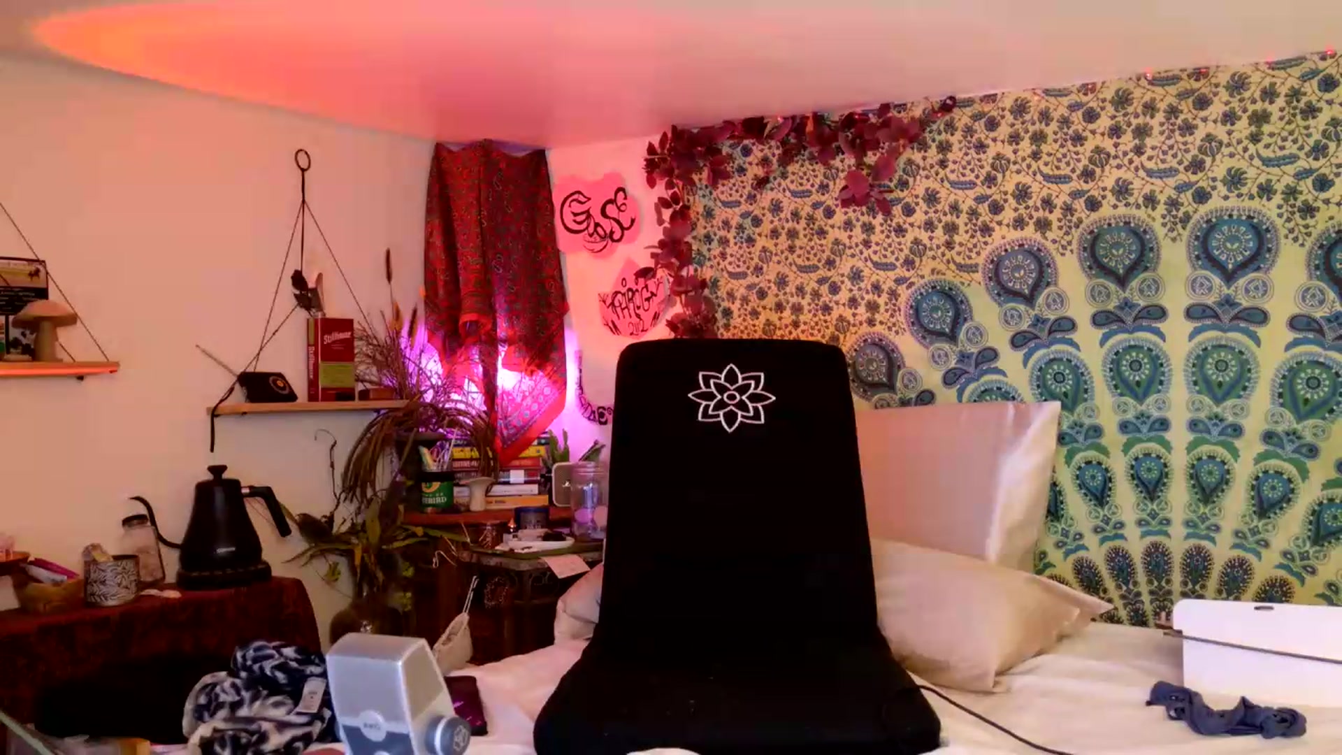Gallery image thumbnail from ellispierce's myfreecams stream on, 06/29/2026, 09:04 image 3 of 20