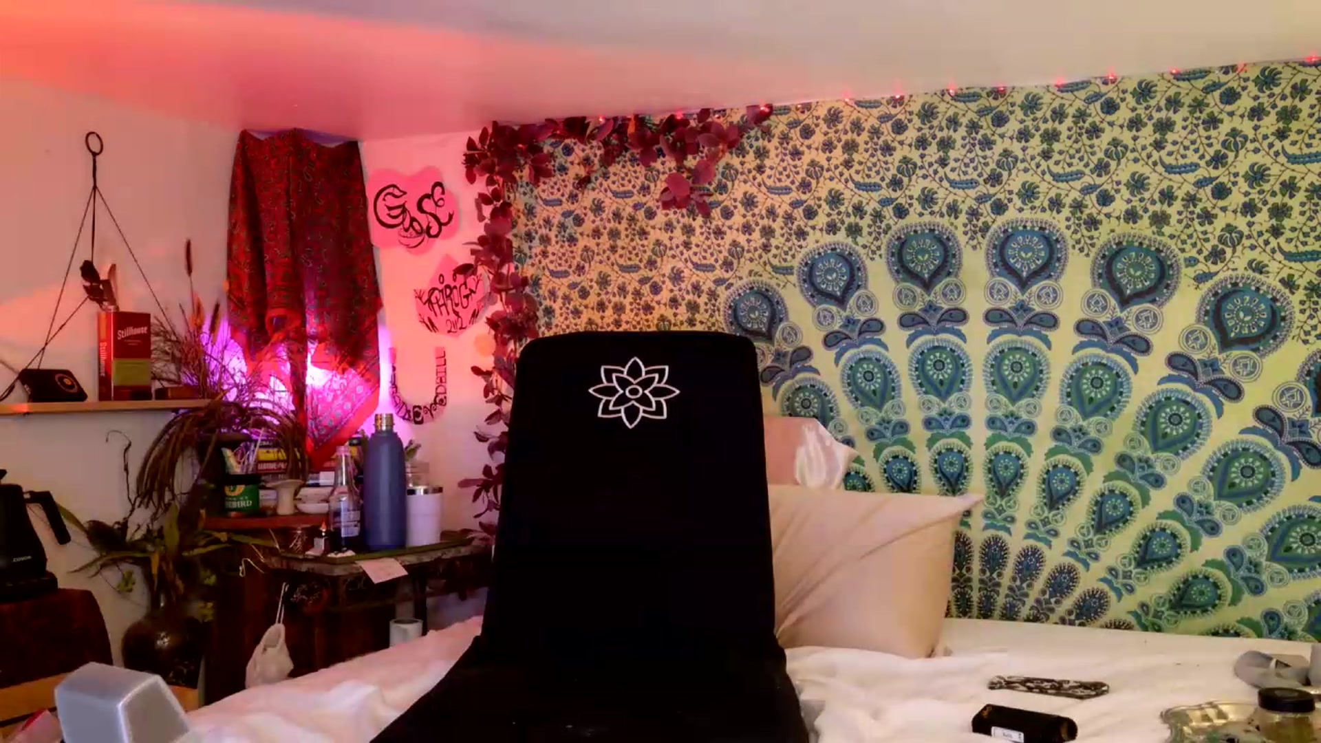 Gallery image thumbnail from ellispierce's myfreecams stream on, 07/01/2026, 08:34 image 11 of 20