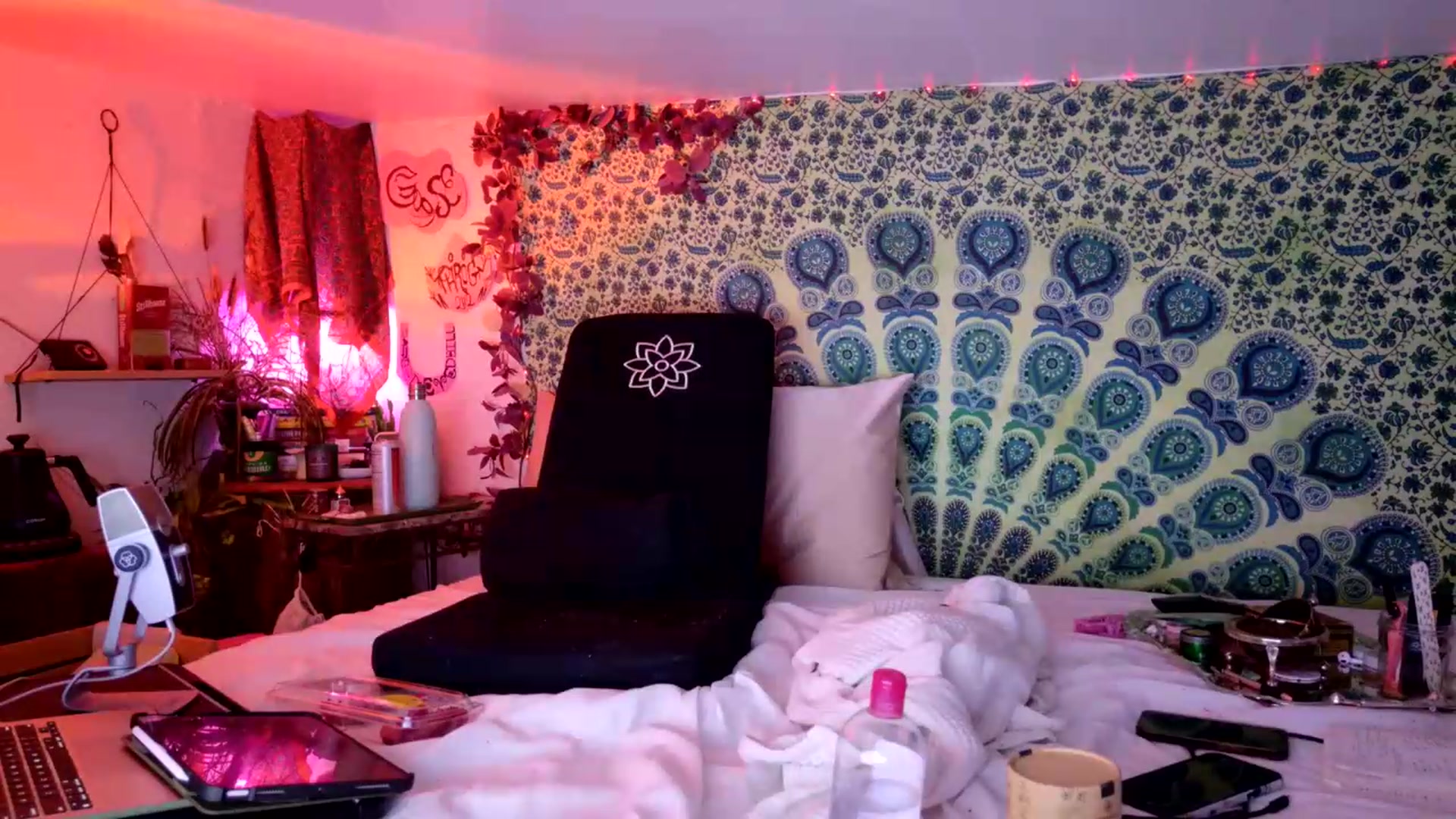 Gallery image thumbnail from ellispierce's myfreecams stream on, 07/10/2026, 08:40 image 12 of 20