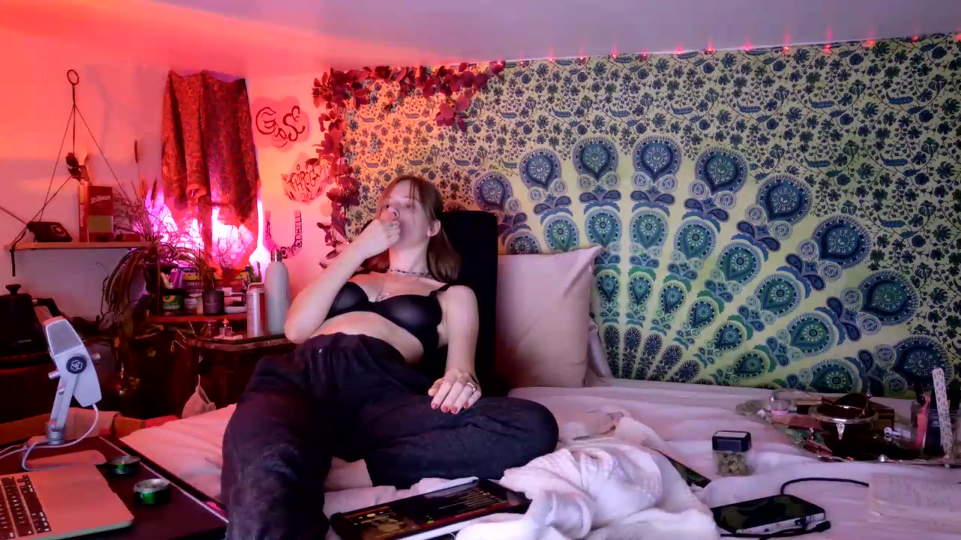 Gallery image thumbnail from ellispierce's myfreecams stream on, 07/10/2026, 09:18 image 18 of 20