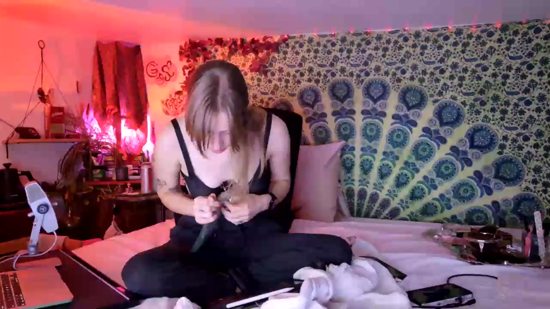 Gallery image thumbnail from ellispierce's myfreecams stream on, 07/10/2026, 09:18 image 13 of 20