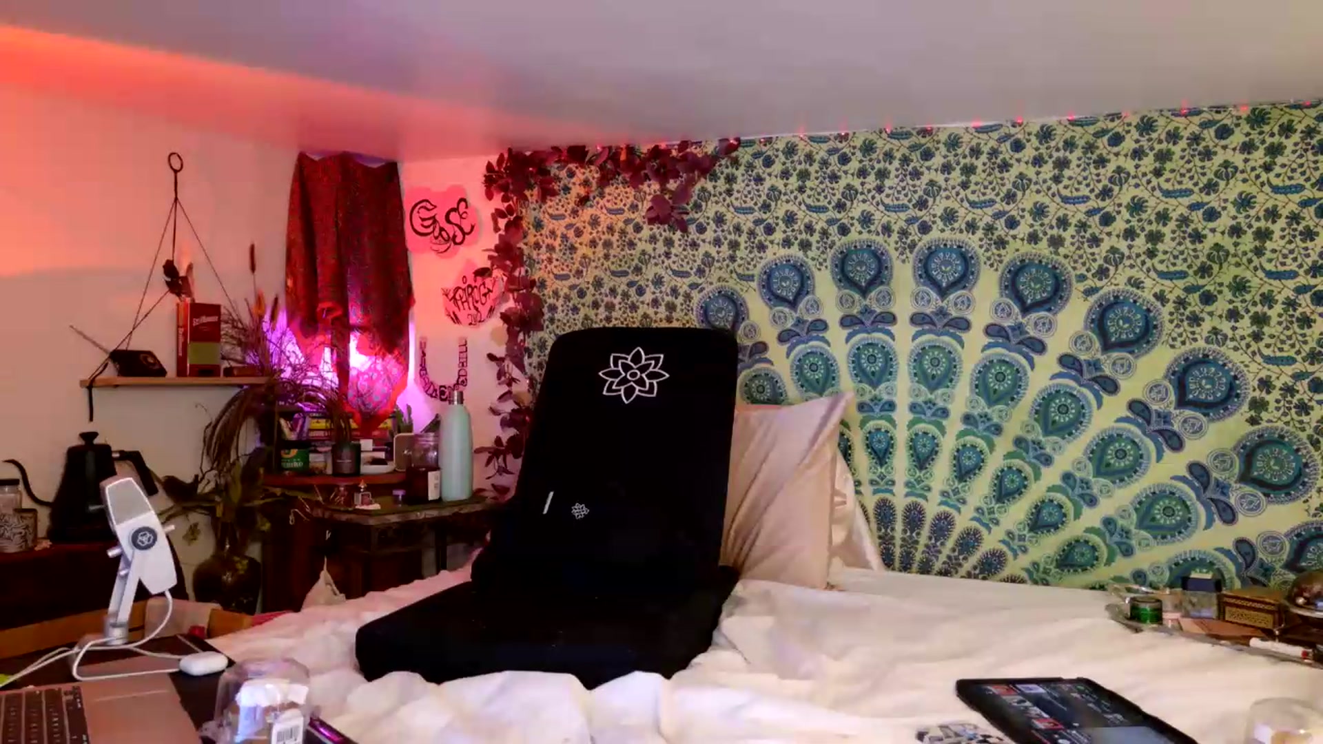 Gallery image thumbnail from ellispierce's myfreecams stream on, 07/11/2026, 07:23 image 8 of 20