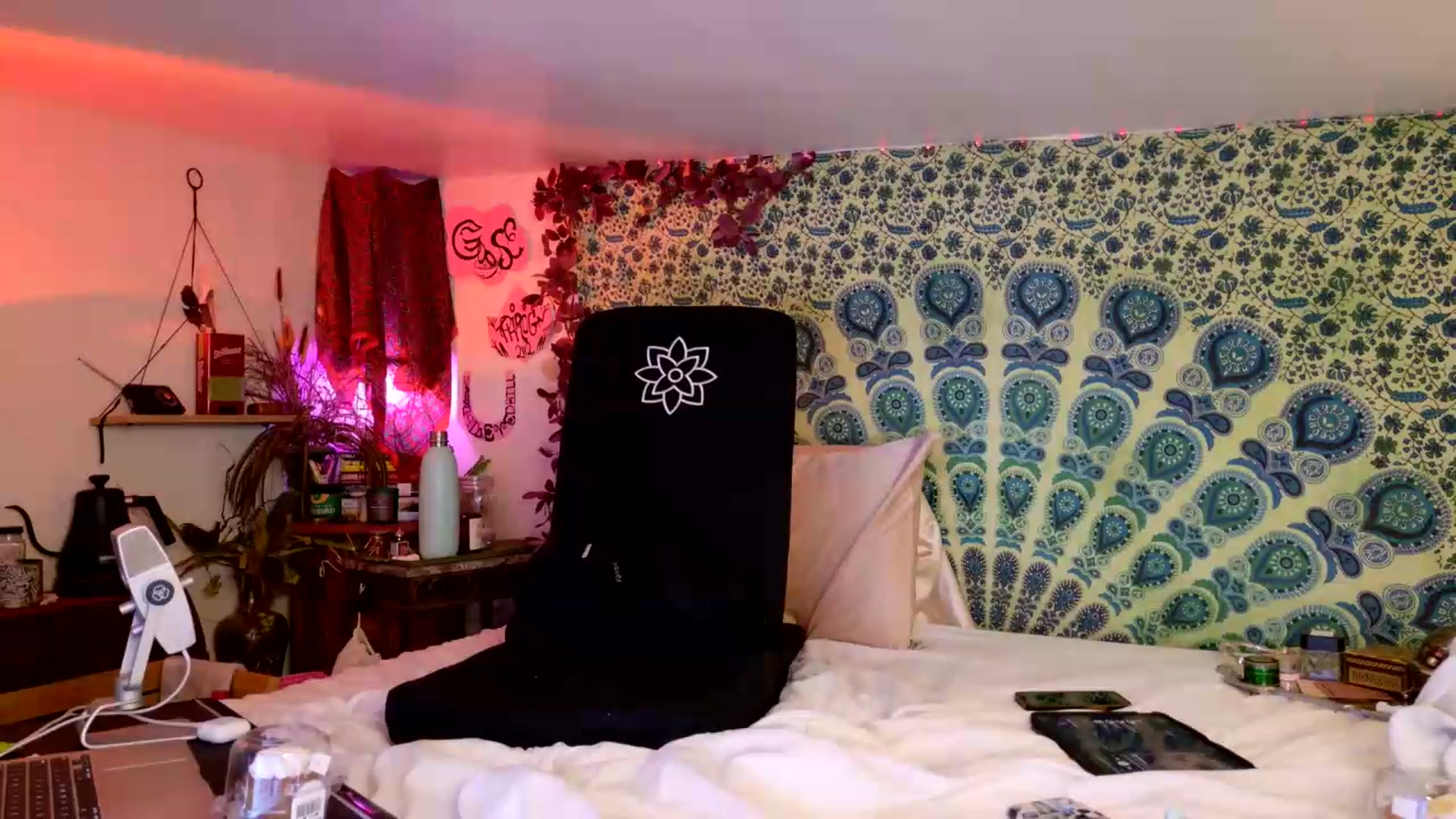Gallery image thumbnail from ellispierce's myfreecams stream on, 07/11/2026, 07:23 image 11 of 20