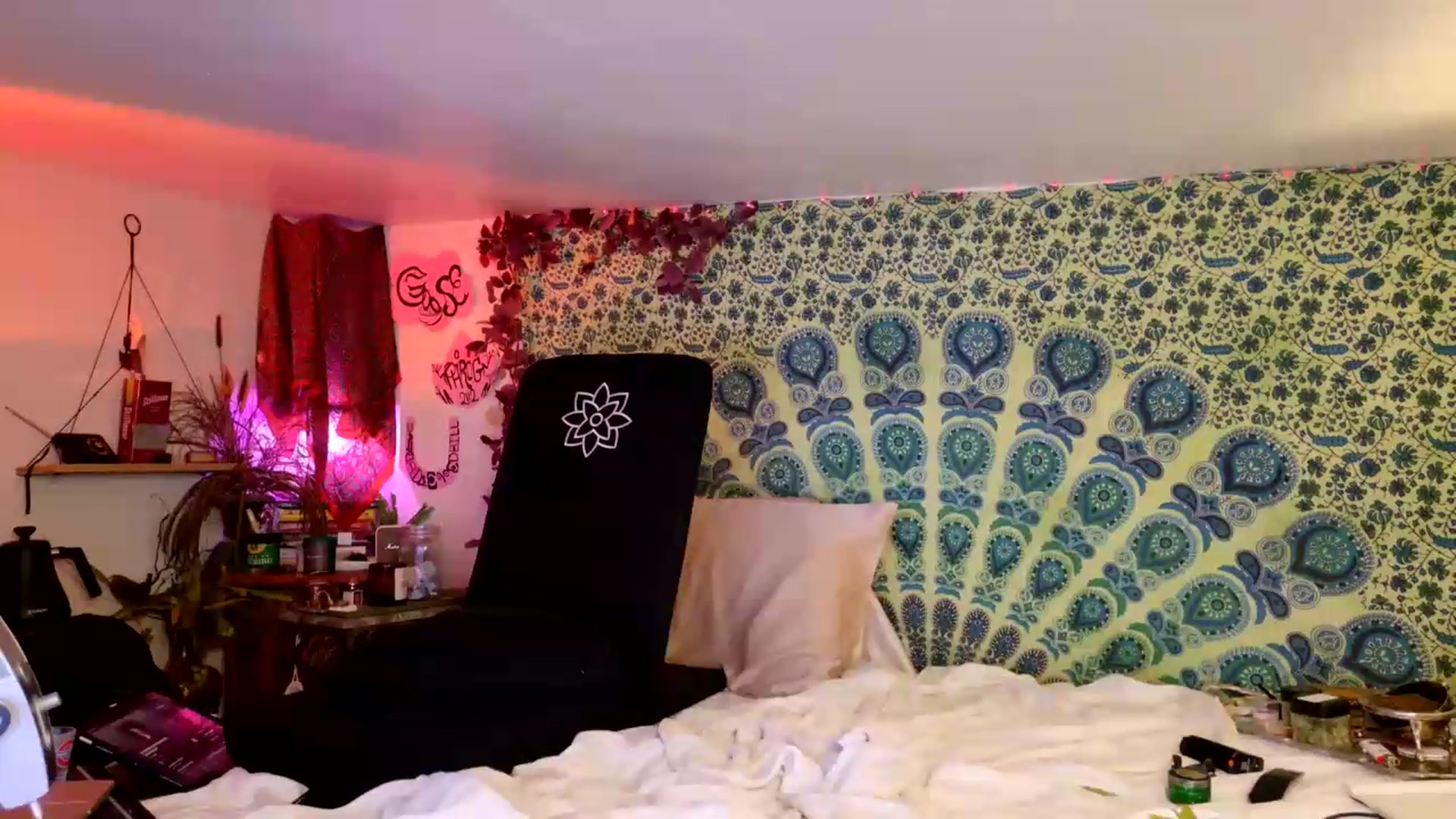 Gallery image thumbnail from ellispierce's myfreecams stream on, 07/12/2026, 09:41 image 15 of 20