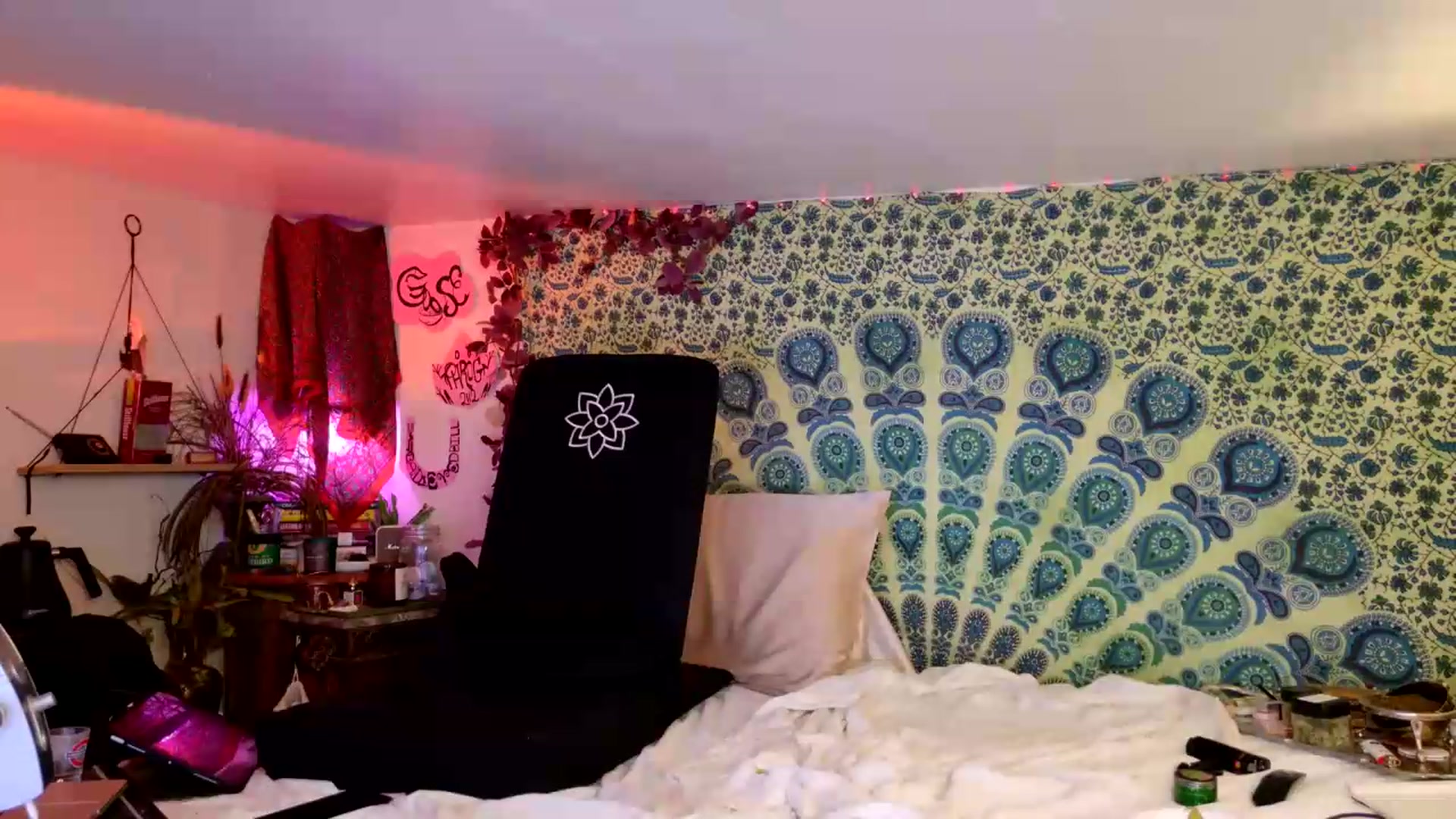 Gallery image thumbnail from ellispierce's myfreecams stream on, 07/12/2026, 09:41 image 13 of 20