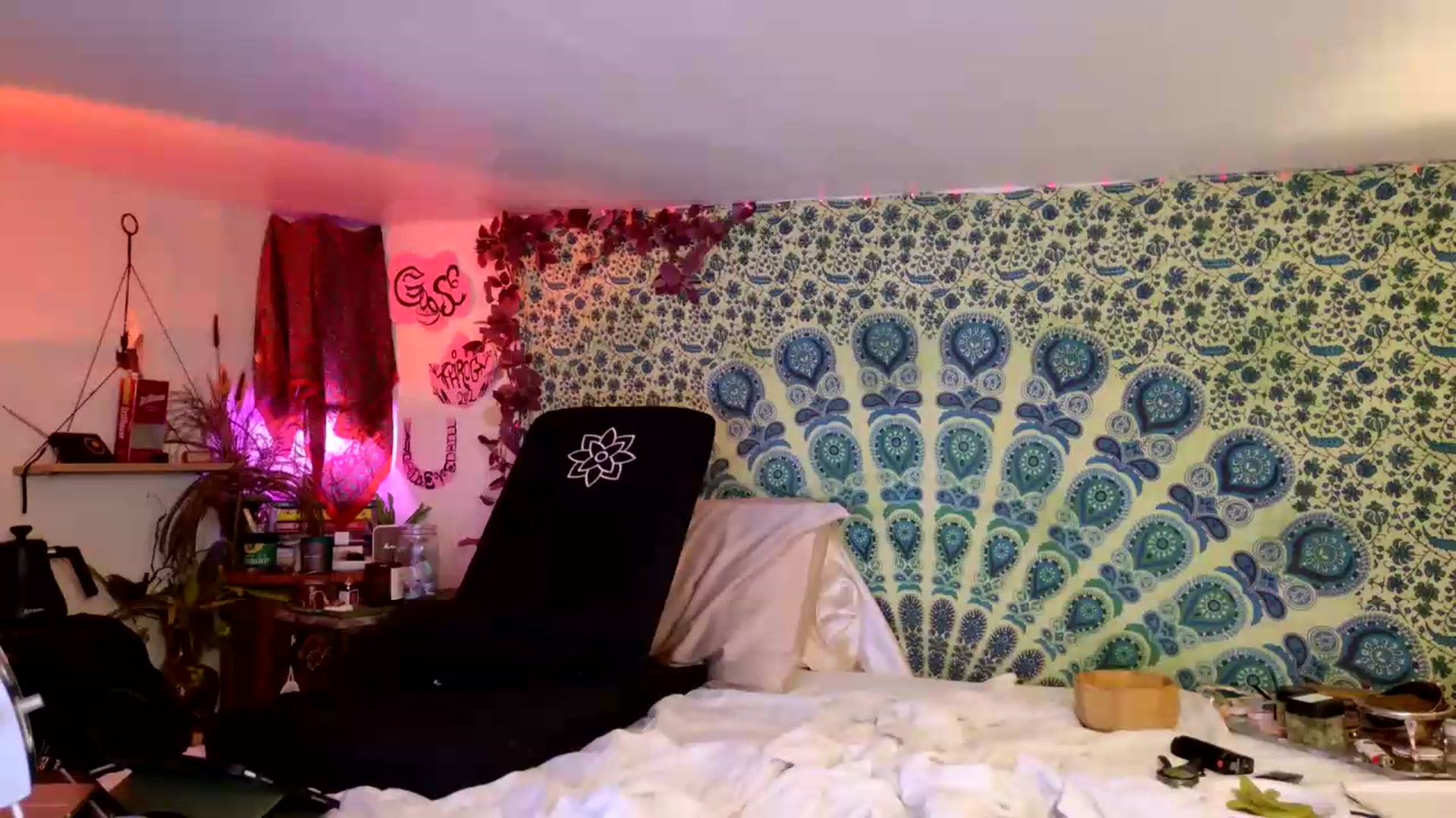 Gallery image thumbnail from ellispierce's myfreecams stream on, 07/12/2026, 10:03 image 2 of 20