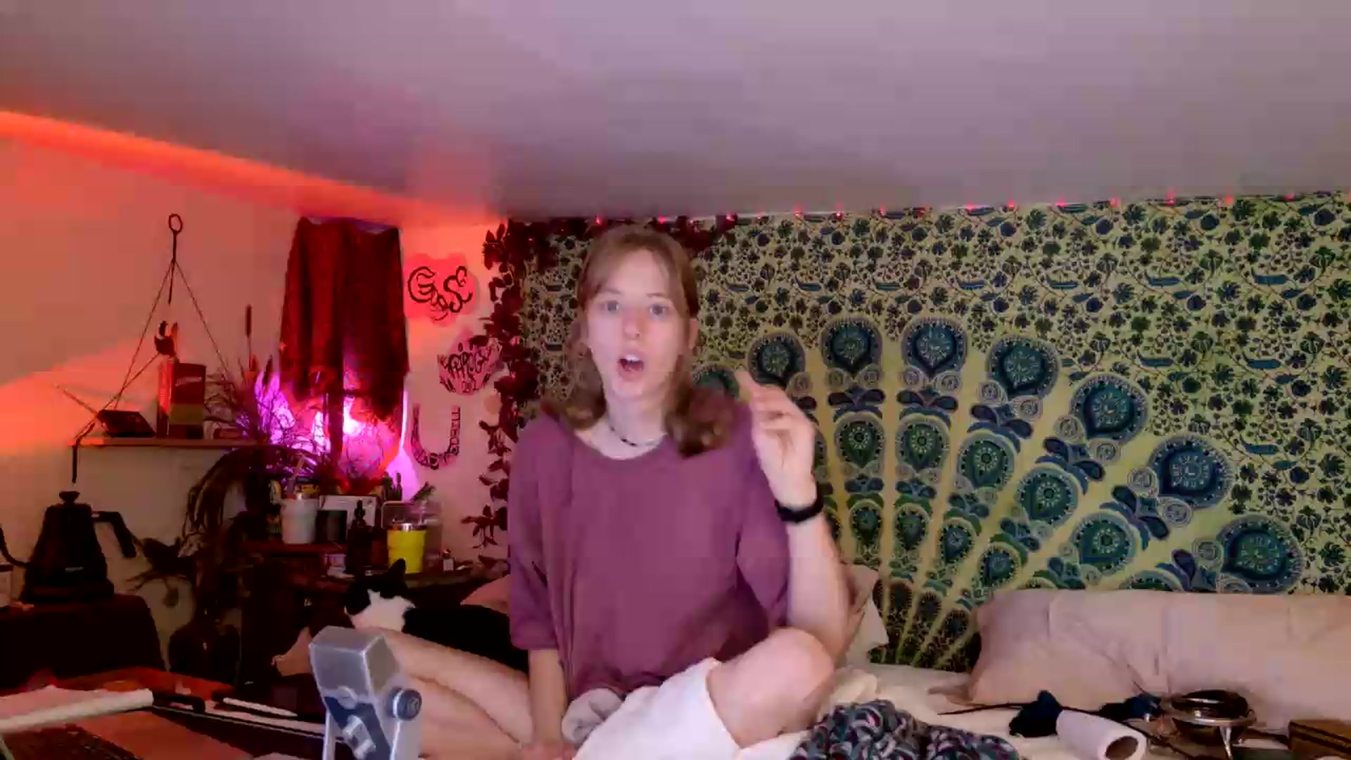 Gallery image thumbnail from ellispierce's myfreecams stream on, 07/23/2026, 06:11 image 1 of 20