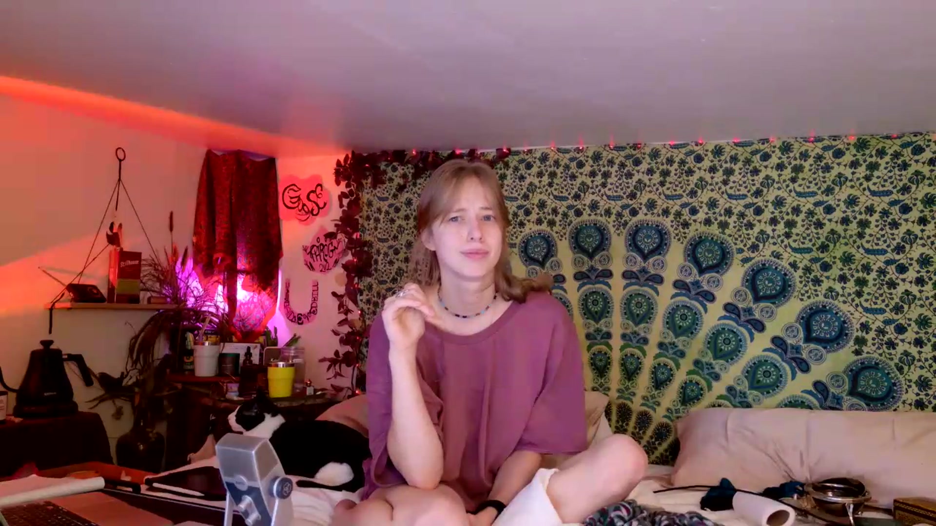 Gallery image thumbnail from ellispierce's myfreecams stream on, 07/23/2026, 06:11 image 2 of 20