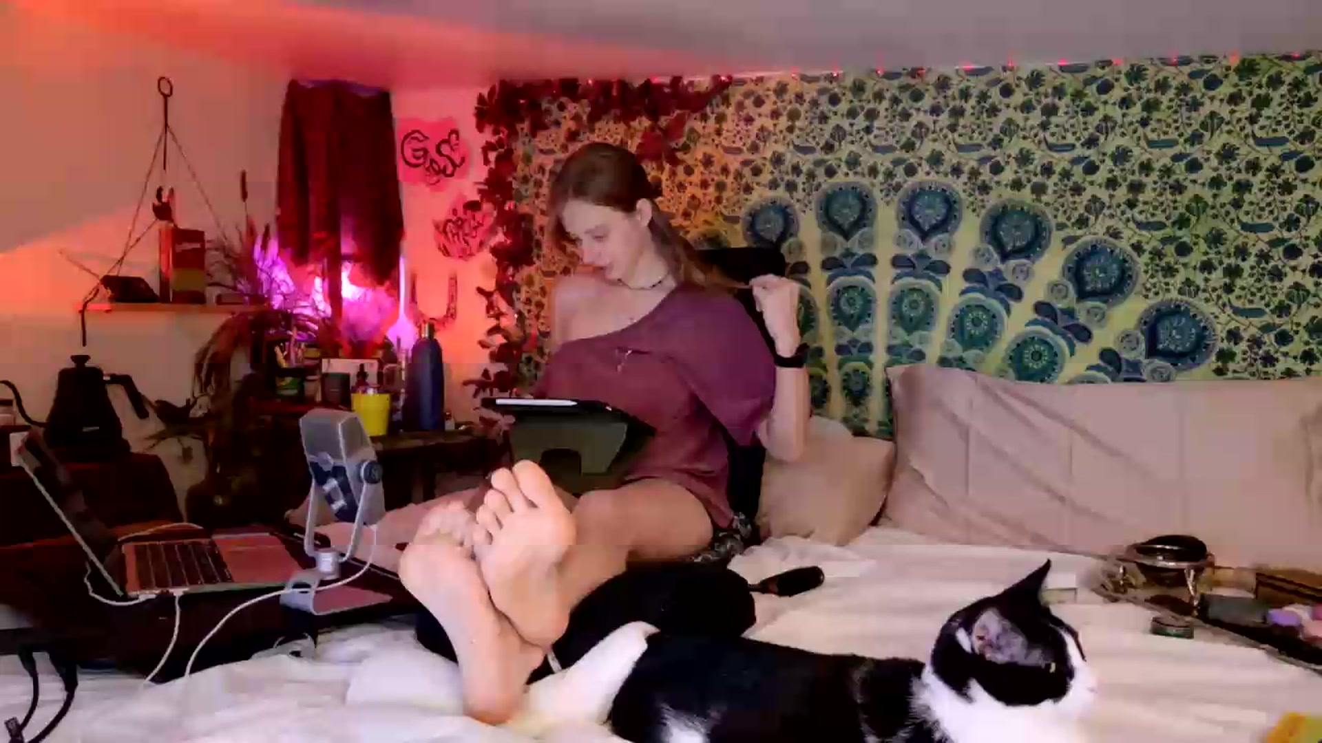 Gallery image thumbnail from ellispierce's myfreecams stream on, 07/23/2026, 09:05 image 9 of 20
