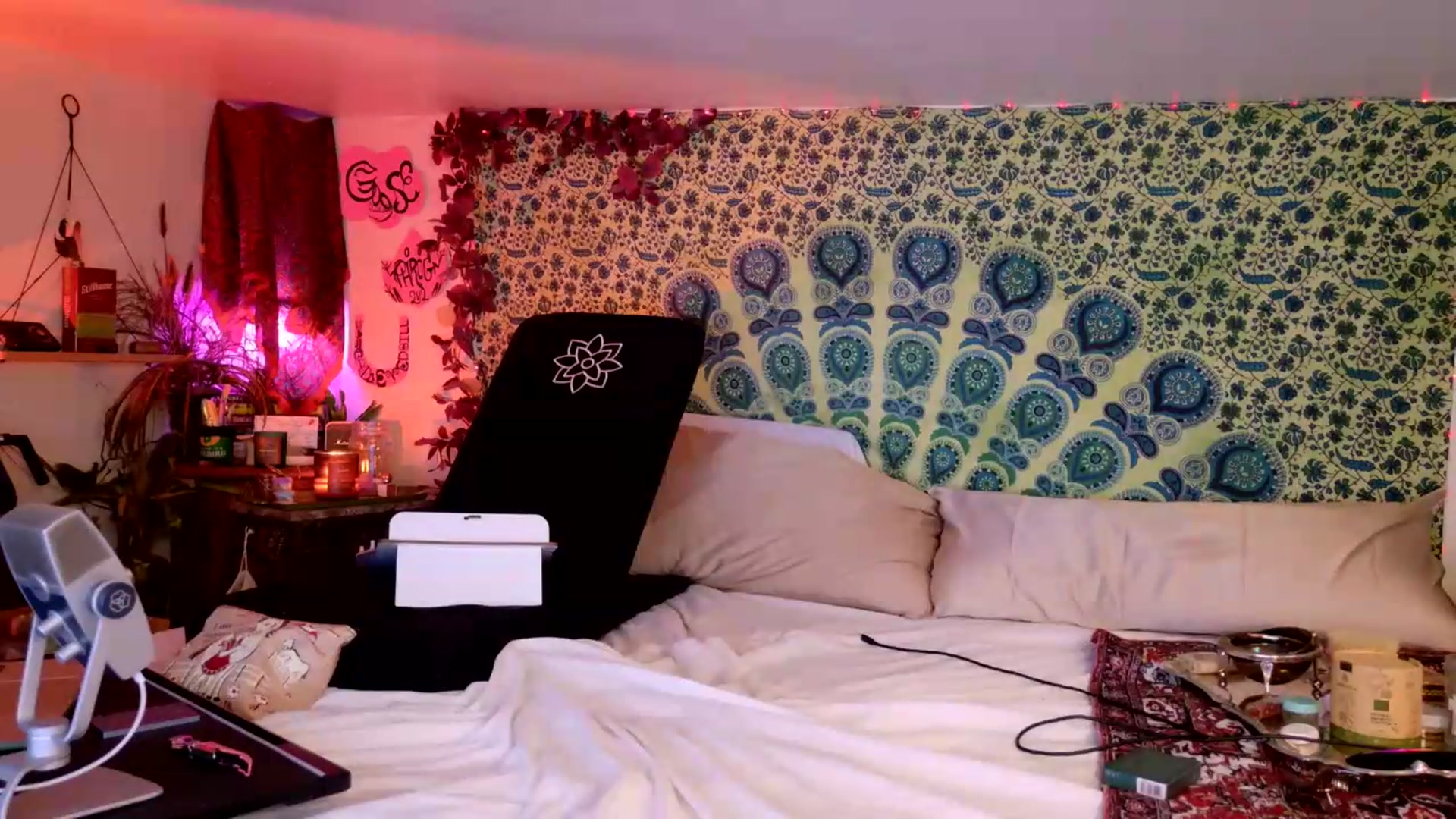 Gallery image thumbnail from ellispierce's myfreecams stream on, 07/27/2026, 09:14 image 15 of 20