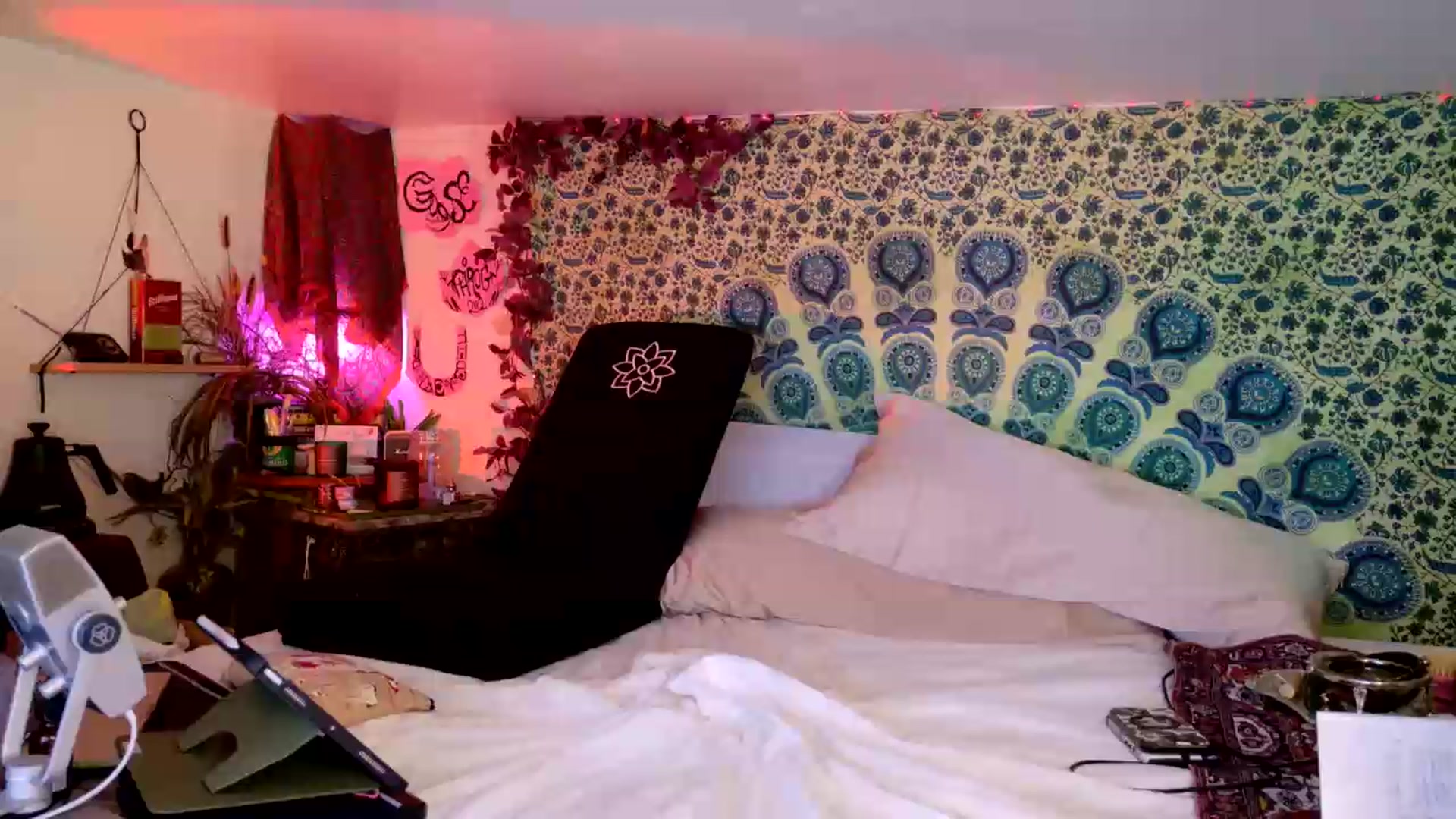Gallery image thumbnail from ellispierce's myfreecams stream on, 07/27/2026, 17:18 image 12 of 20