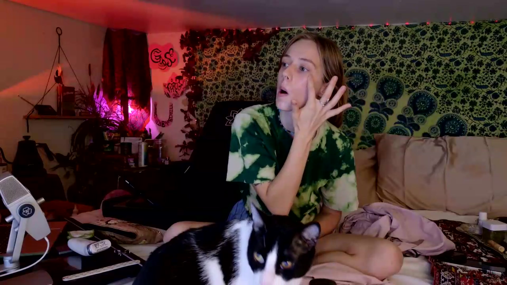 Gallery image thumbnail from ellispierce's myfreecams stream on, 07/28/2026, 14:10 image 11 of 20