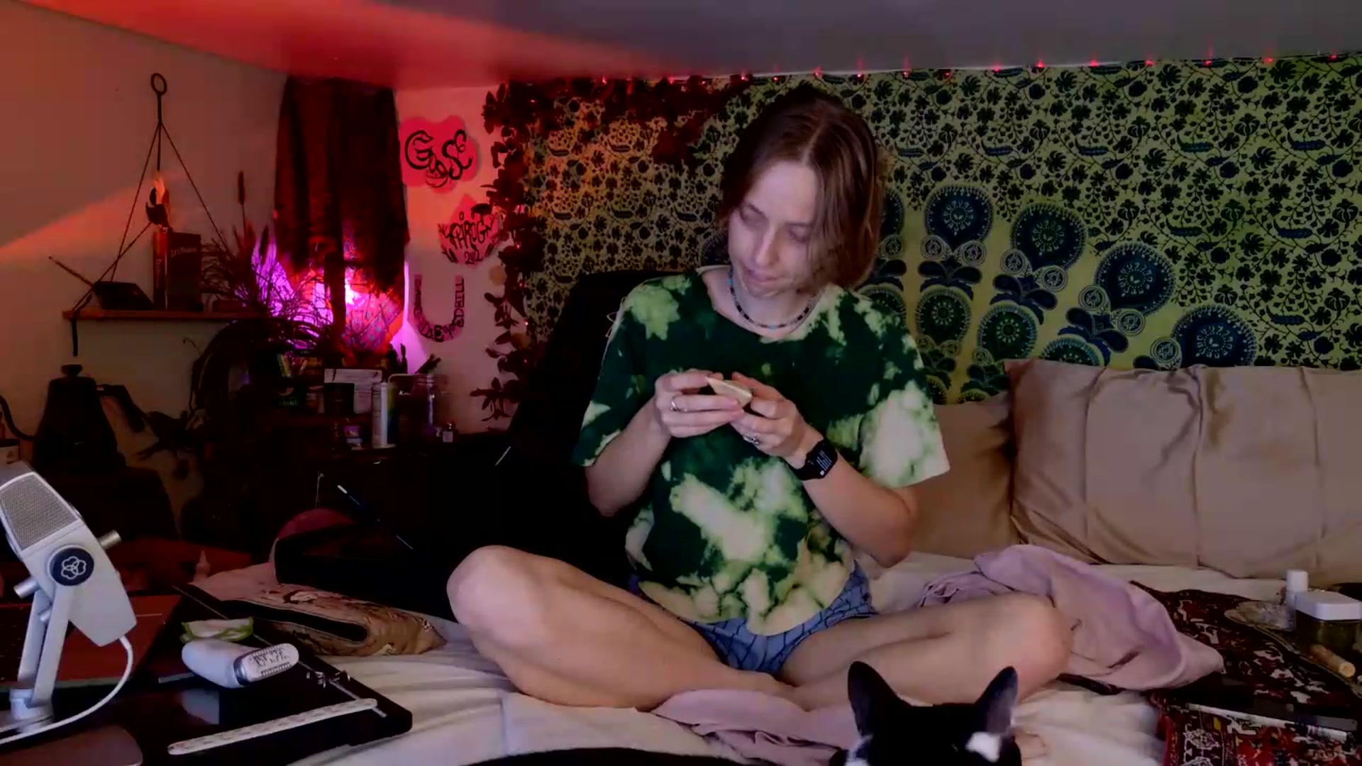Gallery image thumbnail from ellispierce's myfreecams stream on, 07/28/2026, 14:10 image 12 of 20