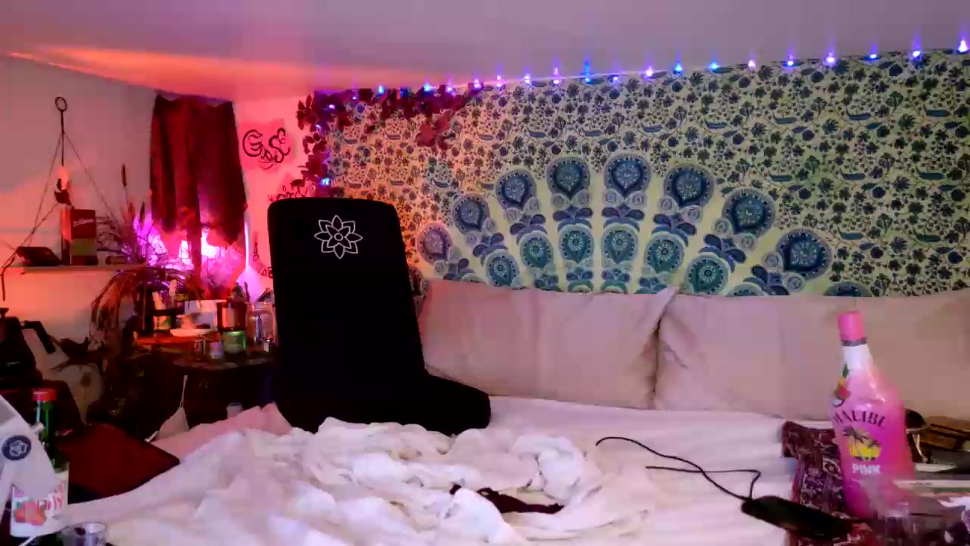 Gallery image thumbnail from ellispierce's myfreecams stream on, 08/01/2026, 09:03 image 8 of 20