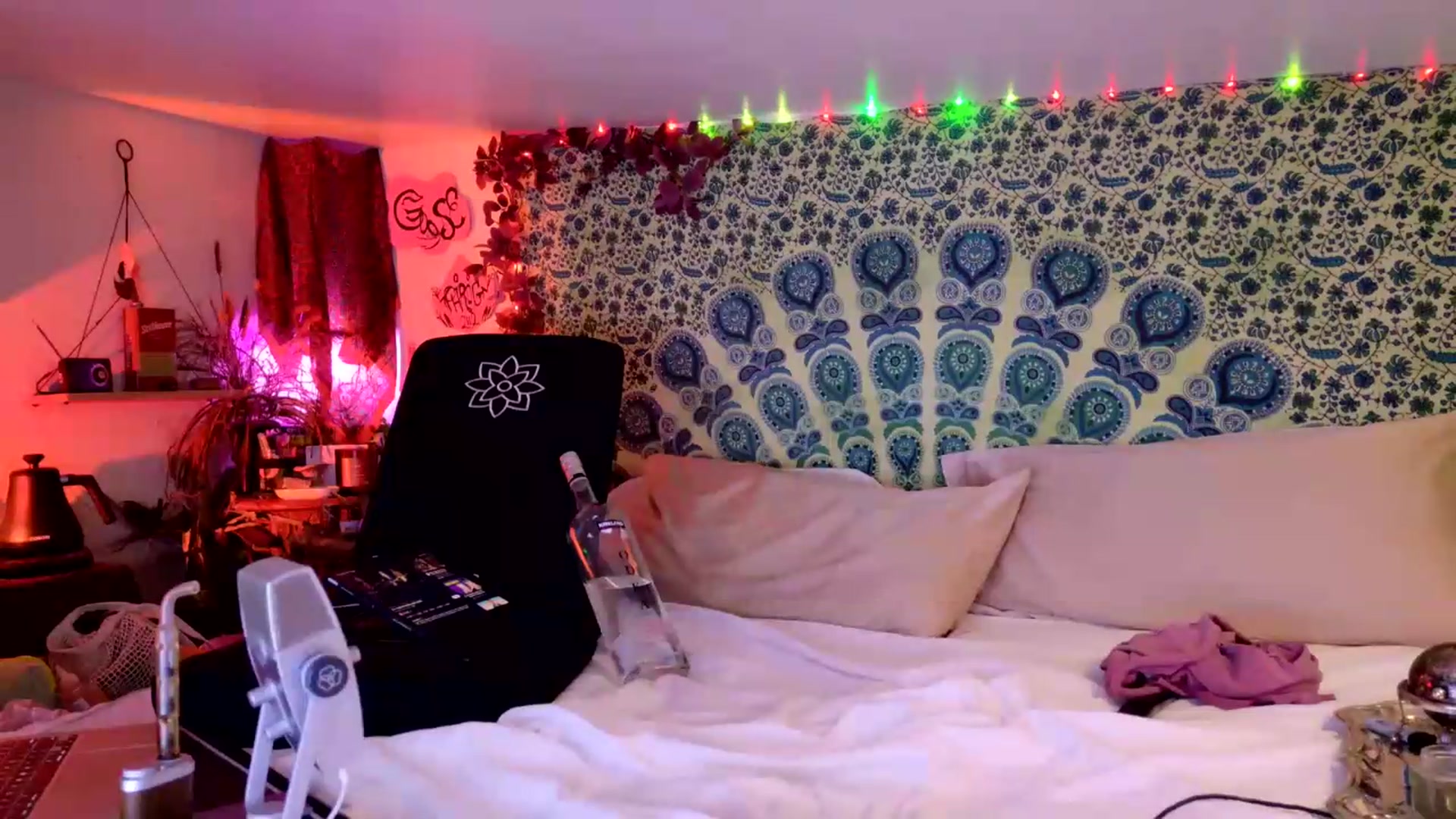 Gallery image thumbnail from ellispierce's myfreecams stream on, 08/07/2026, 09:20 image 17 of 20