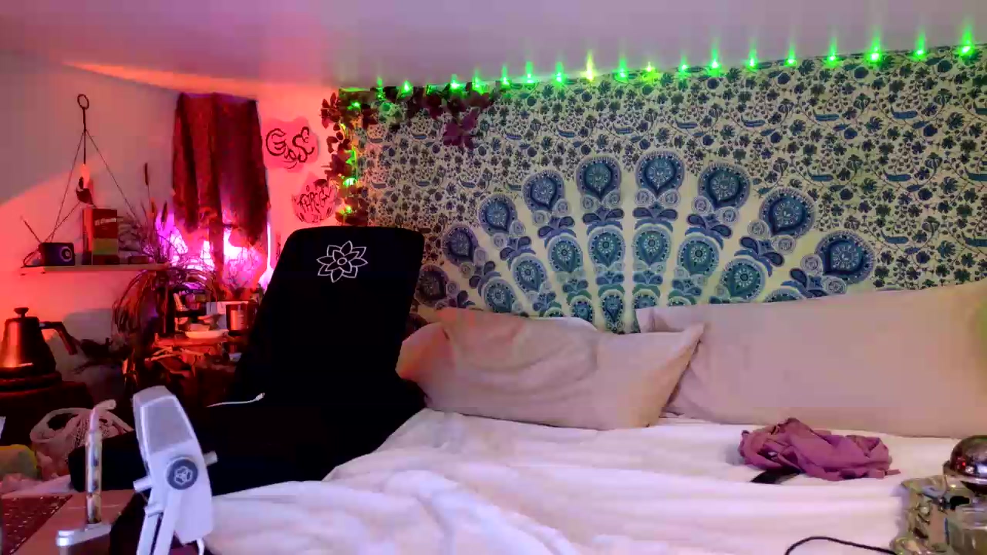 Gallery image thumbnail from ellispierce's myfreecams stream on, 08/07/2026, 09:35 image 19 of 20