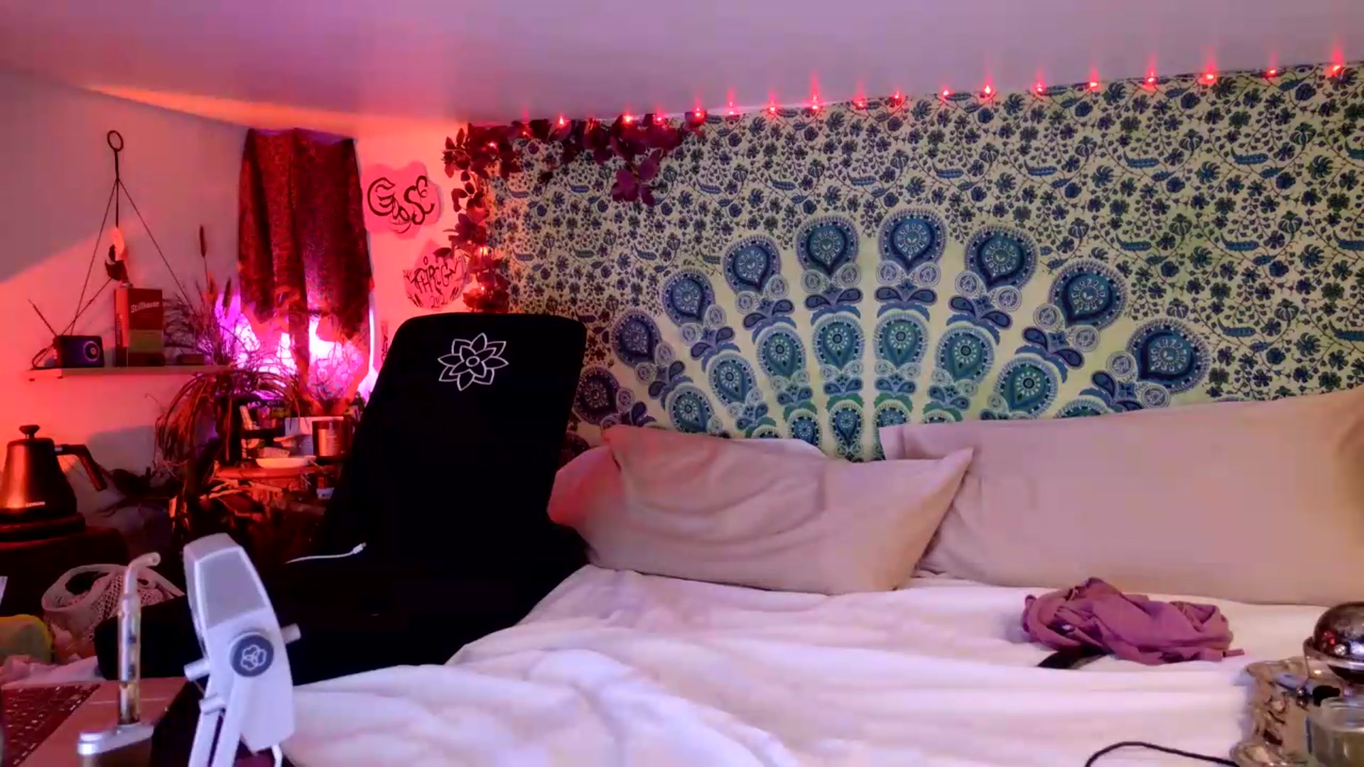 Gallery image thumbnail from ellispierce's myfreecams stream on, 08/07/2026, 09:35 image 20 of 20