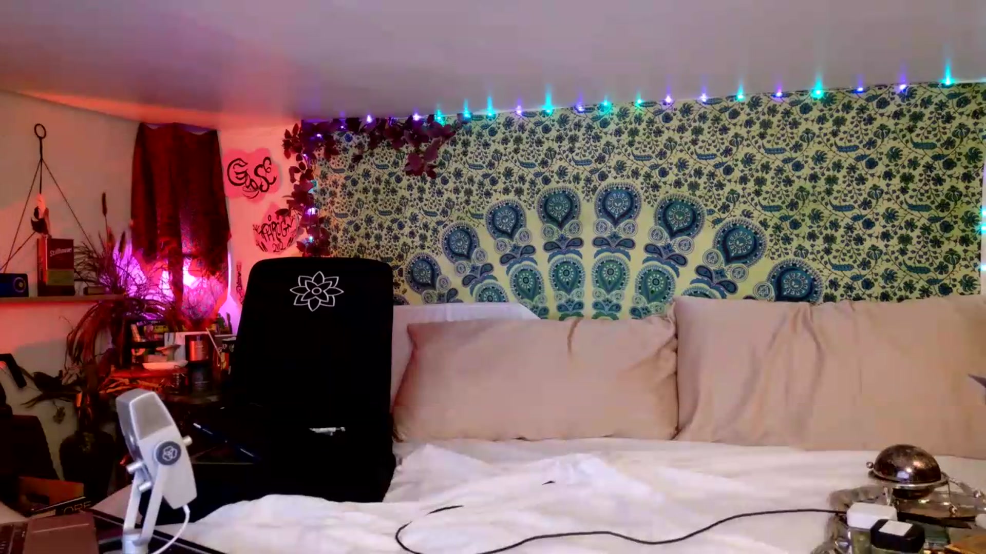 Gallery image thumbnail from ellispierce's myfreecams stream on, 08/08/2026, 10:34 image 2 of 20