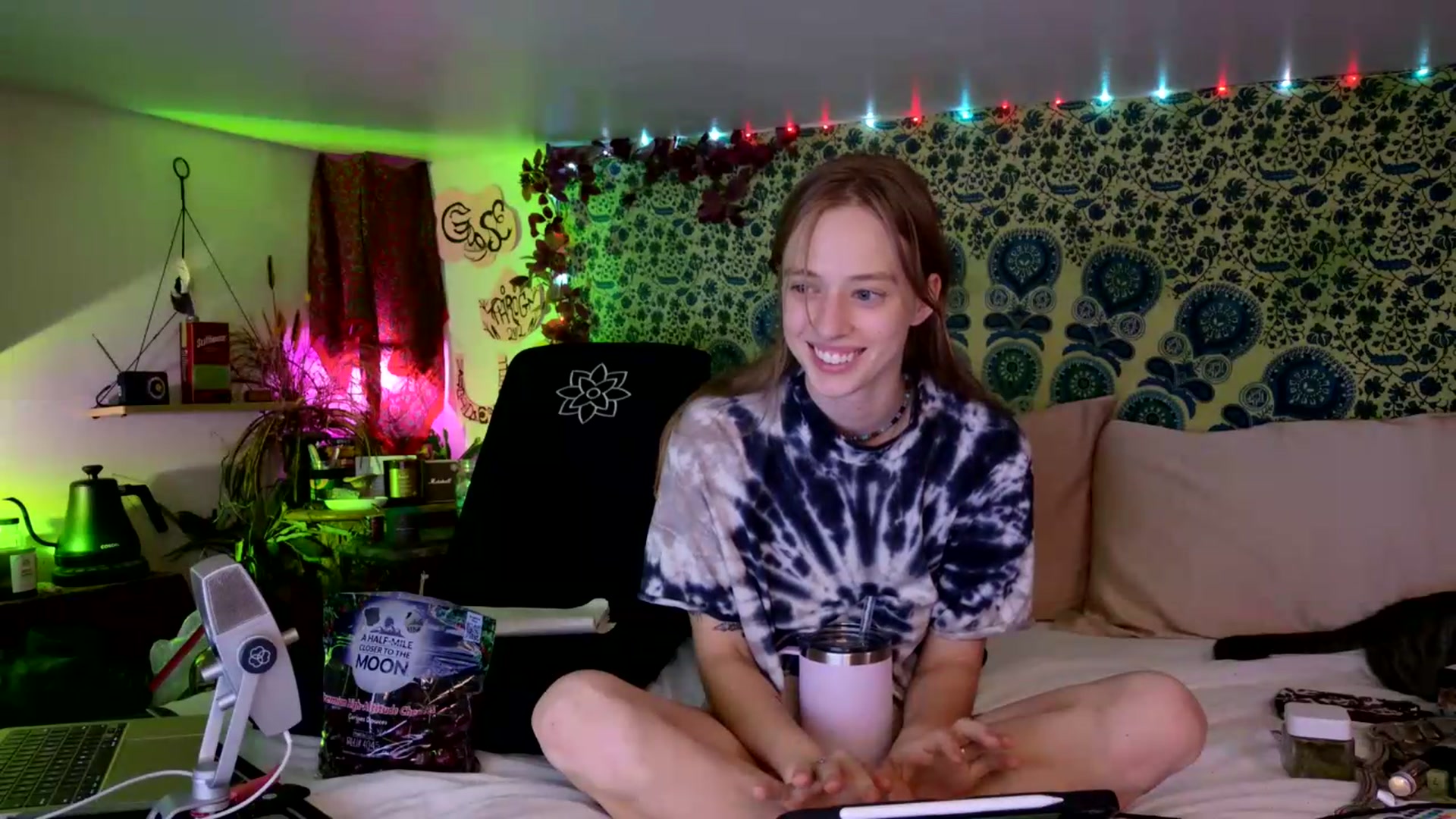 Gallery image thumbnail from ellispierce's myfreecams stream on, 08/09/2026, 09:33 image 4 of 20