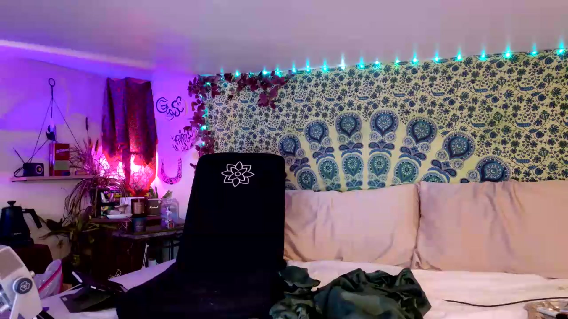 Gallery image thumbnail from ellispierce's myfreecams stream on, 08/10/2026, 06:02 image 10 of 20