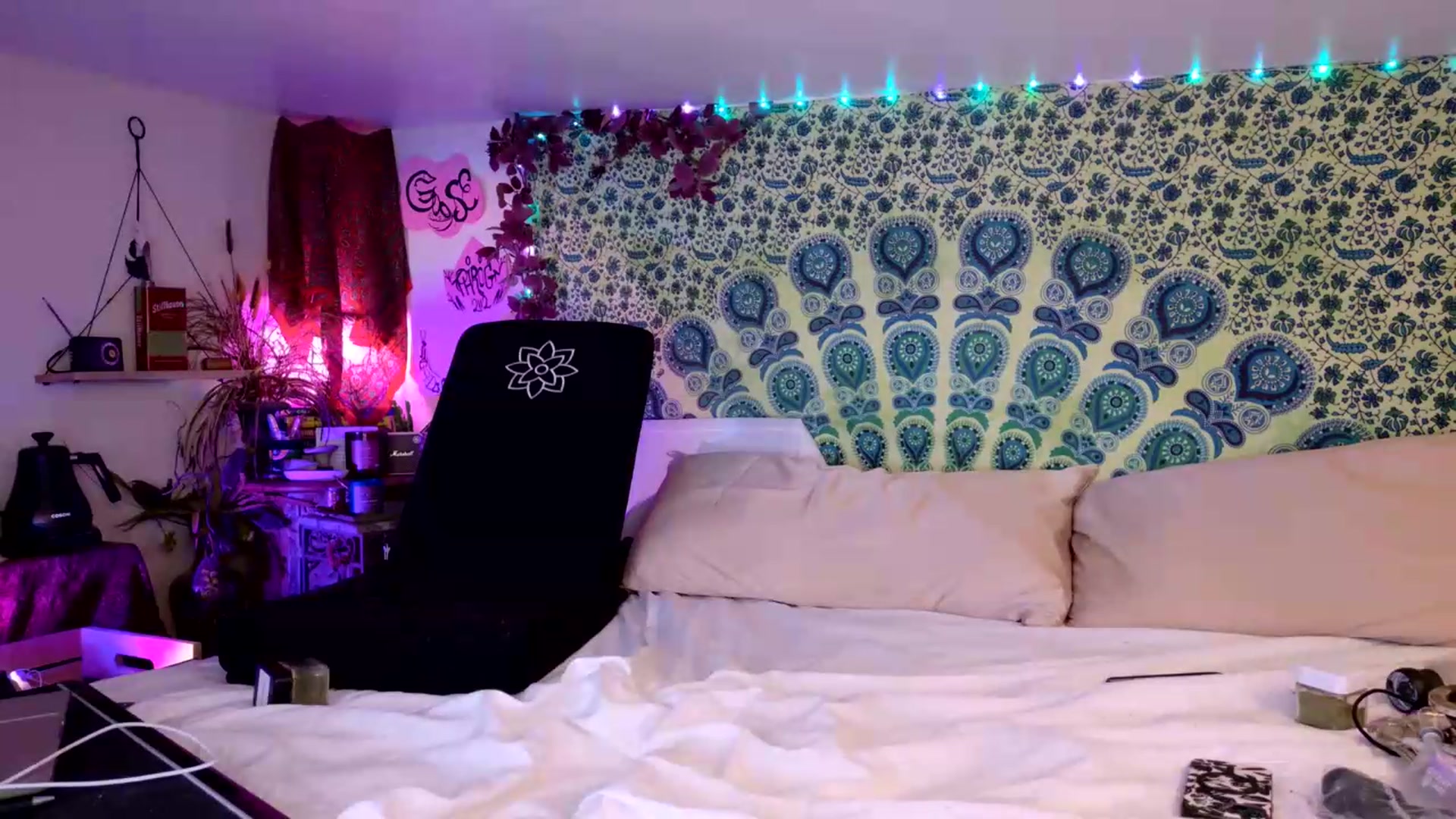 Gallery image thumbnail from ellispierce's myfreecams stream on, 08/11/2026, 07:21 image 7 of 20