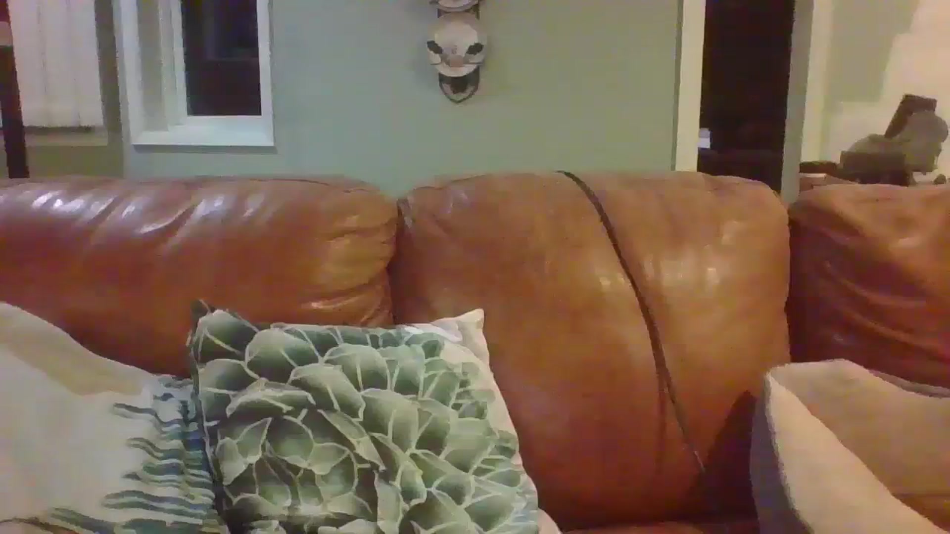 Gallery image thumbnail from embermae's myfreecams stream on, 10/30/2023, 04:13 image 19 of 20