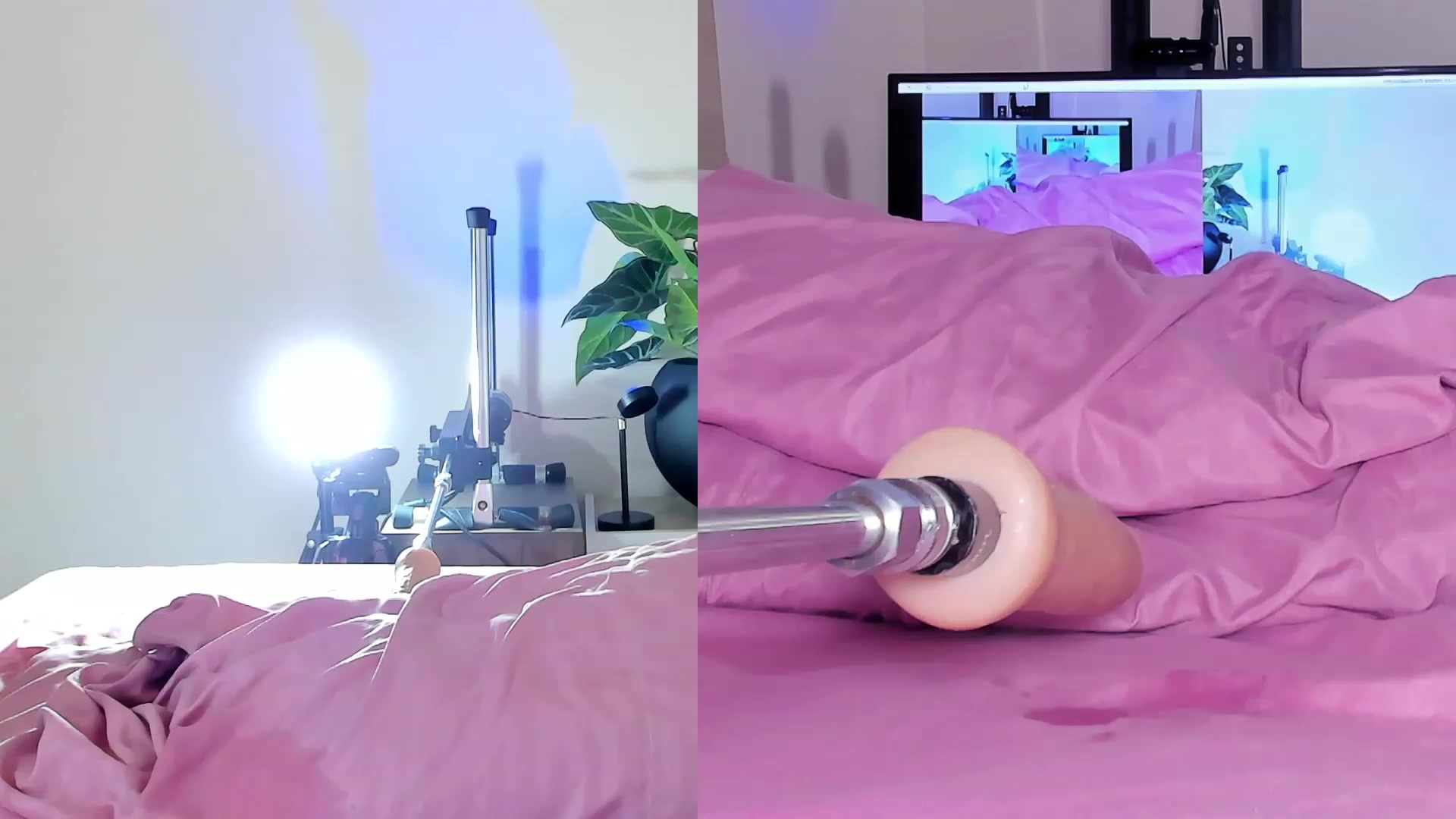 Gallery image thumbnail from emma_colucci's myfreecams stream on, 02/29/2024, 23:54 image 1 of 20