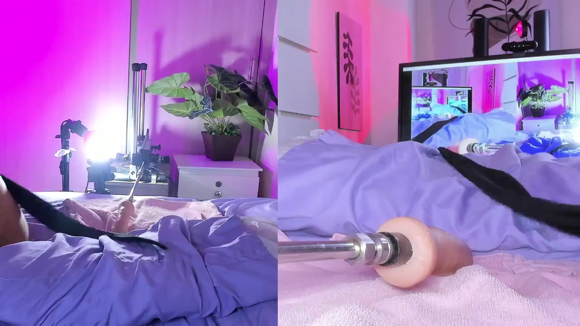 Gallery image thumbnail from emma_colucci's myfreecams stream on, 06/09/2024, 24:39 image 18 of 20