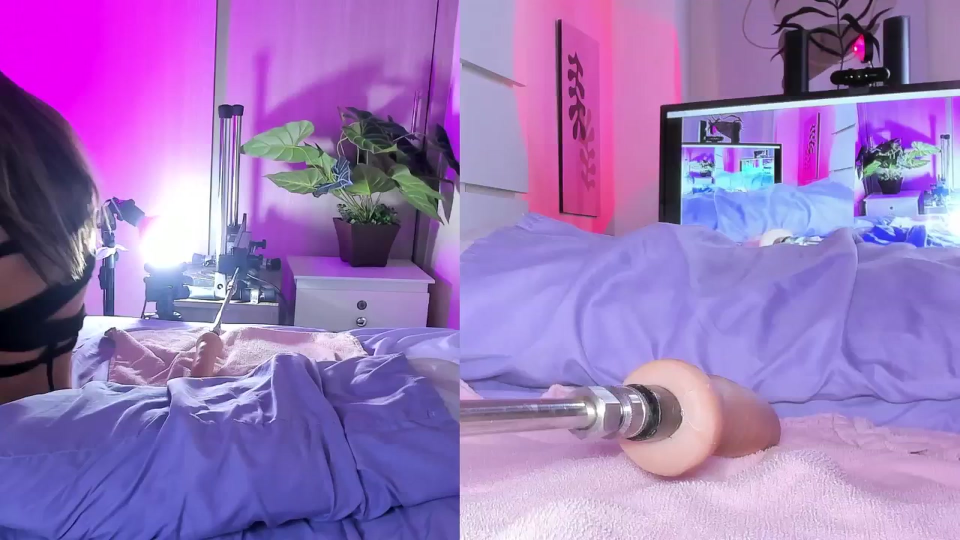 Gallery image thumbnail from emma_colucci's myfreecams stream on, 06/09/2024, 24:39 image 20 of 20