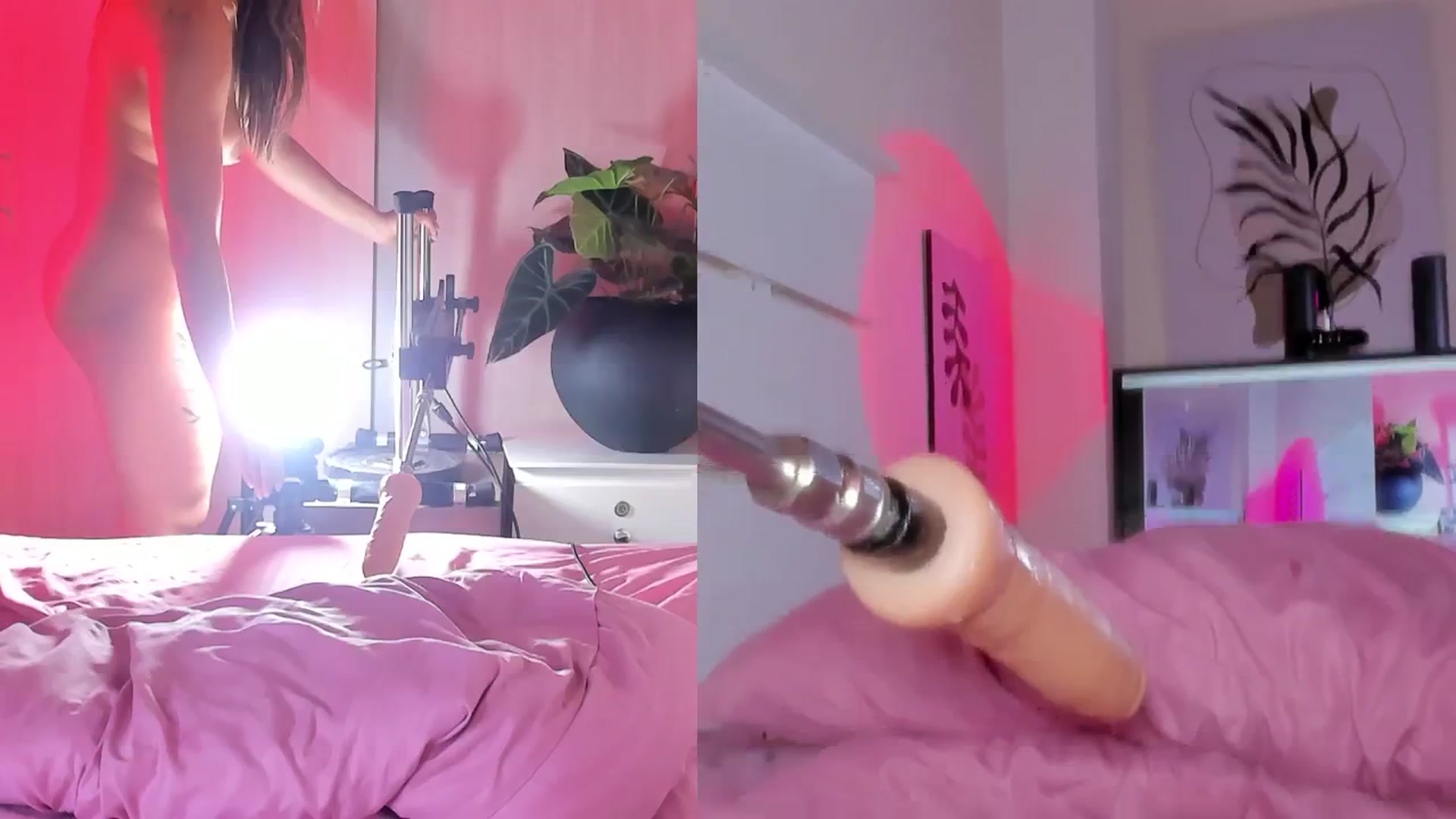 Gallery image thumbnail from emma_colucci's myfreecams stream on, 06/22/2024, 01:47 image 6 of 20