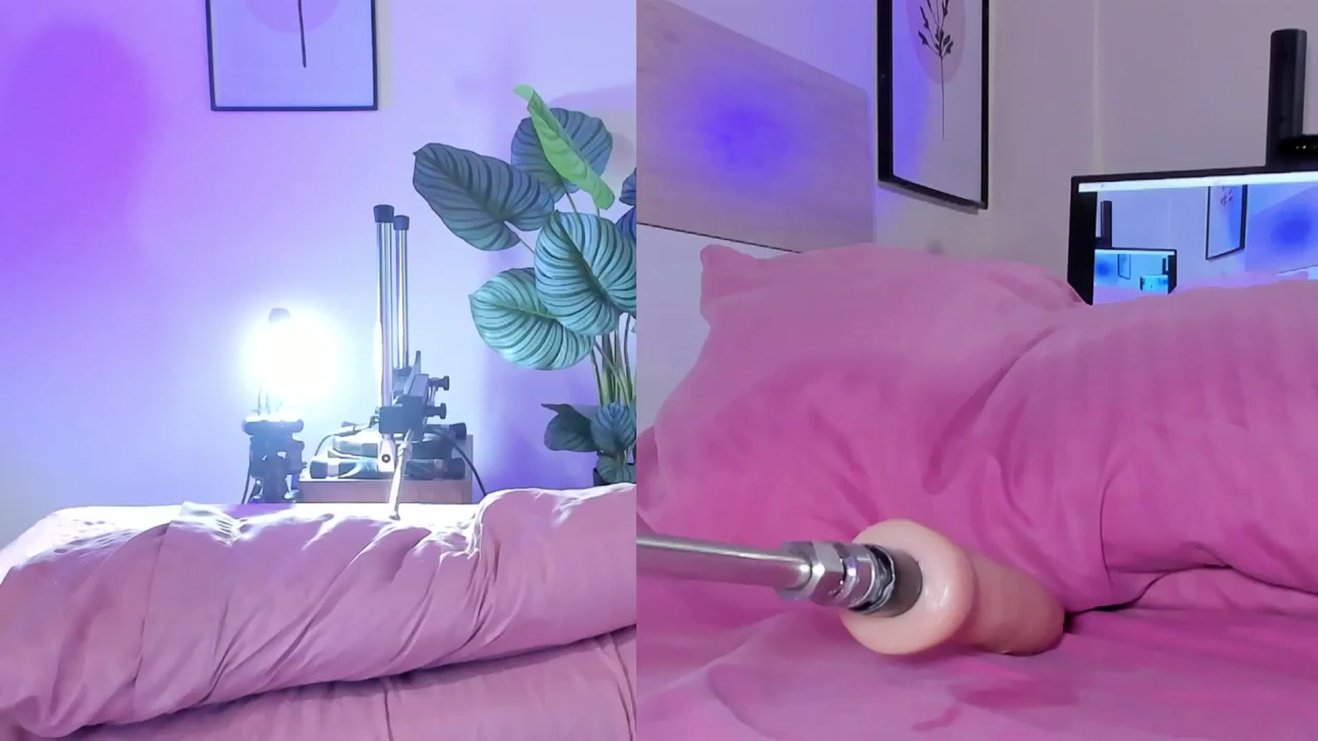 Gallery image thumbnail from emma_colucci's myfreecams stream on, 07/28/2024, 22:09 image 2 of 20