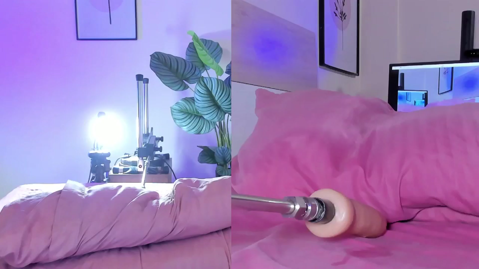 Gallery image thumbnail from emma_colucci's myfreecams stream on, 07/28/2024, 22:09 image 1 of 20