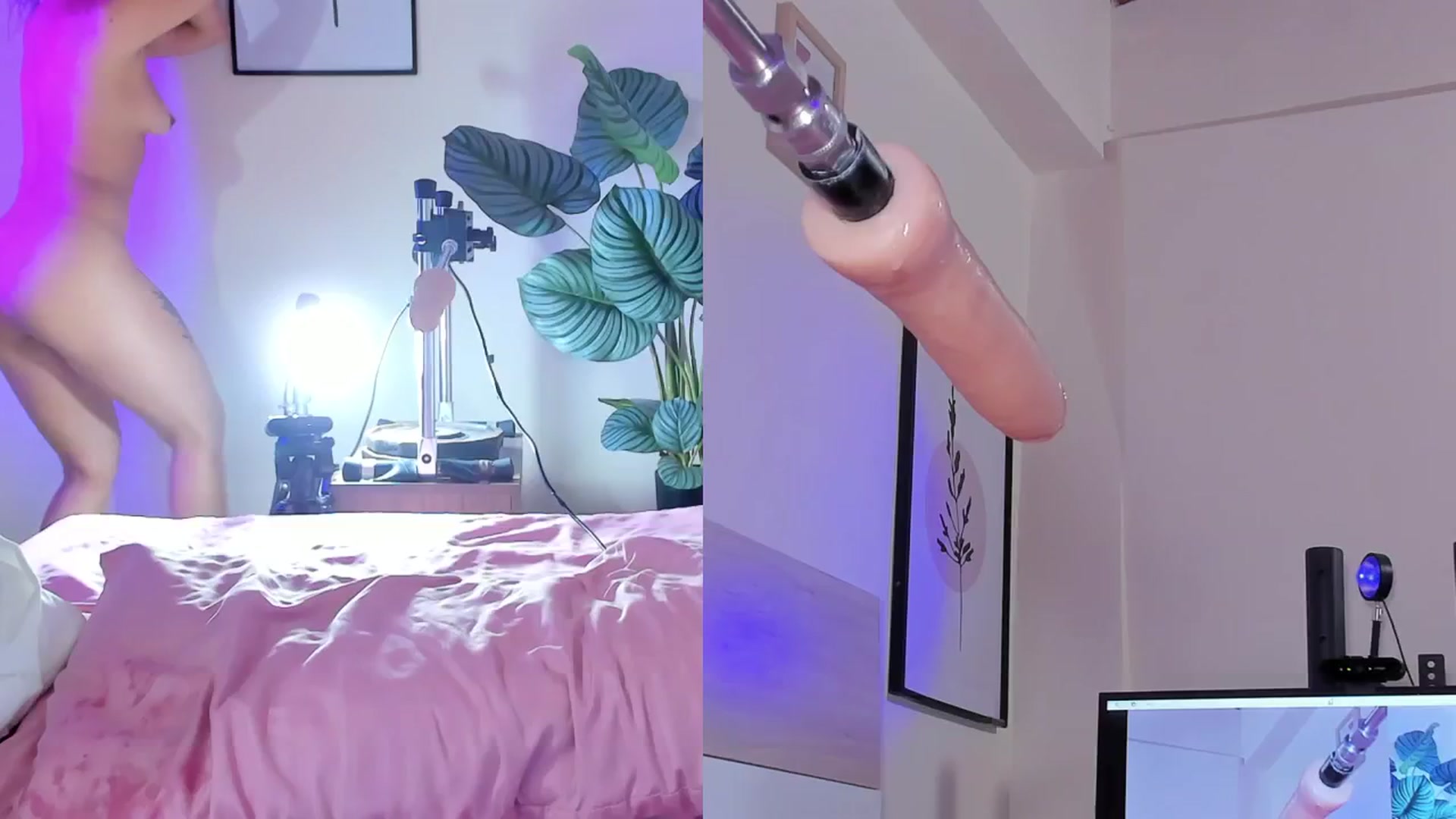 Gallery image thumbnail from emma_colucci's myfreecams stream on, 07/29/2024, 01:00 image 3 of 20