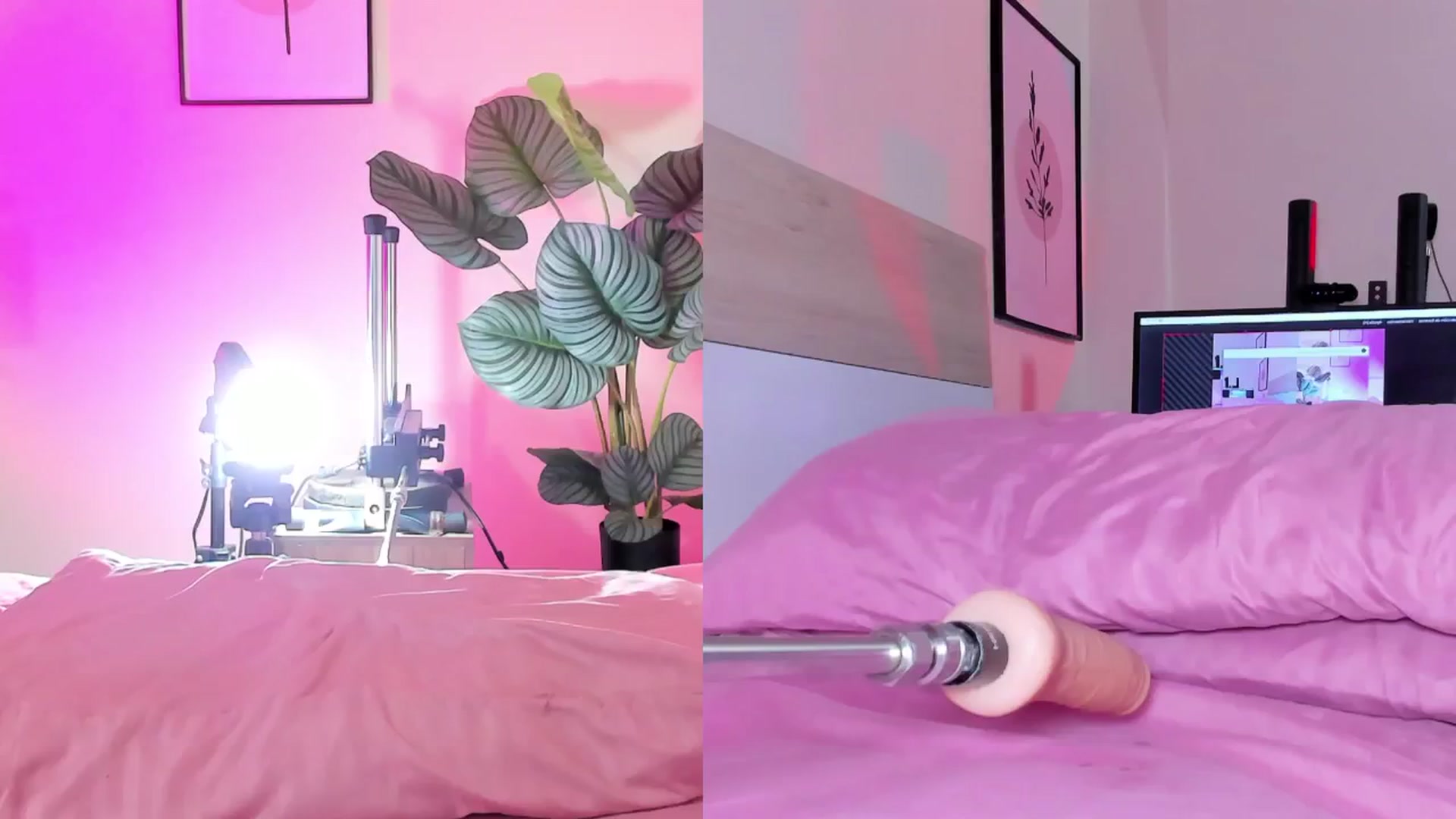 Gallery image thumbnail from emma_colucci's myfreecams stream on, 07/31/2024, 20:49 image 4 of 20