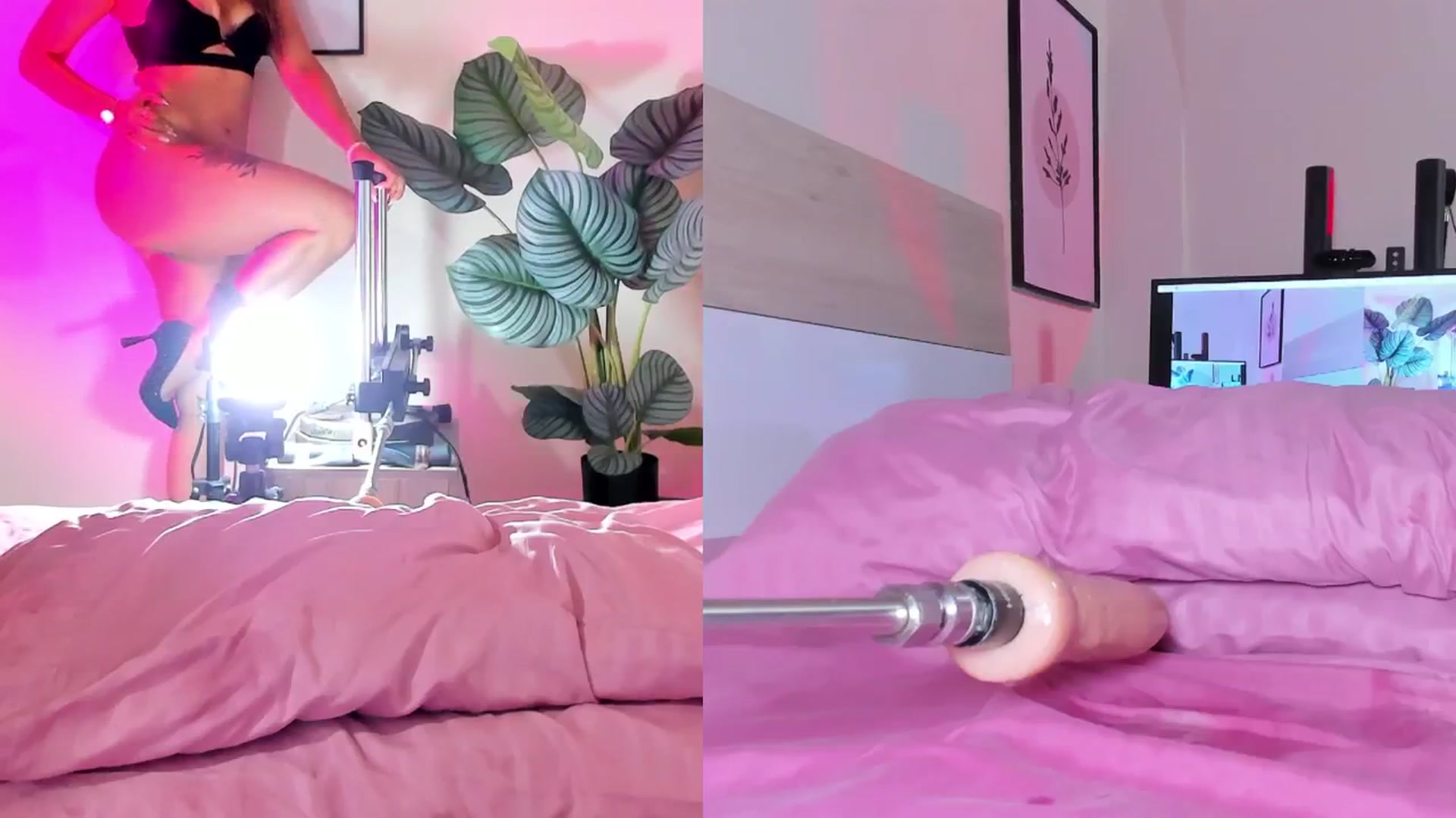 Gallery image thumbnail from emma_colucci's myfreecams stream on, 08/01/2024, 24:57 image 11 of 20