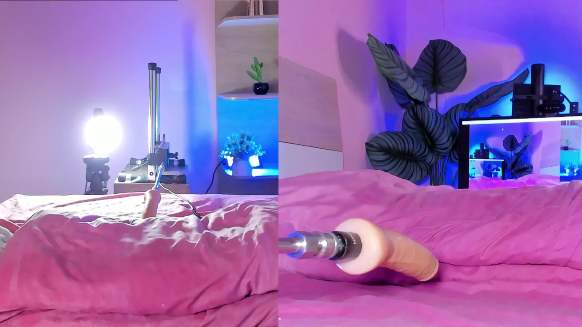 Gallery image thumbnail from emma_colucci's myfreecams stream on, 08/27/2024, 01:30 image 7 of 20