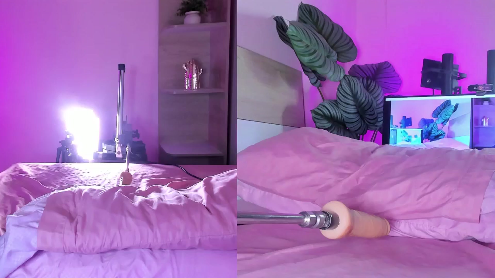 Gallery image thumbnail from emma_colucci's myfreecams stream on, 12/08/2024, 16:44 image 5 of 20