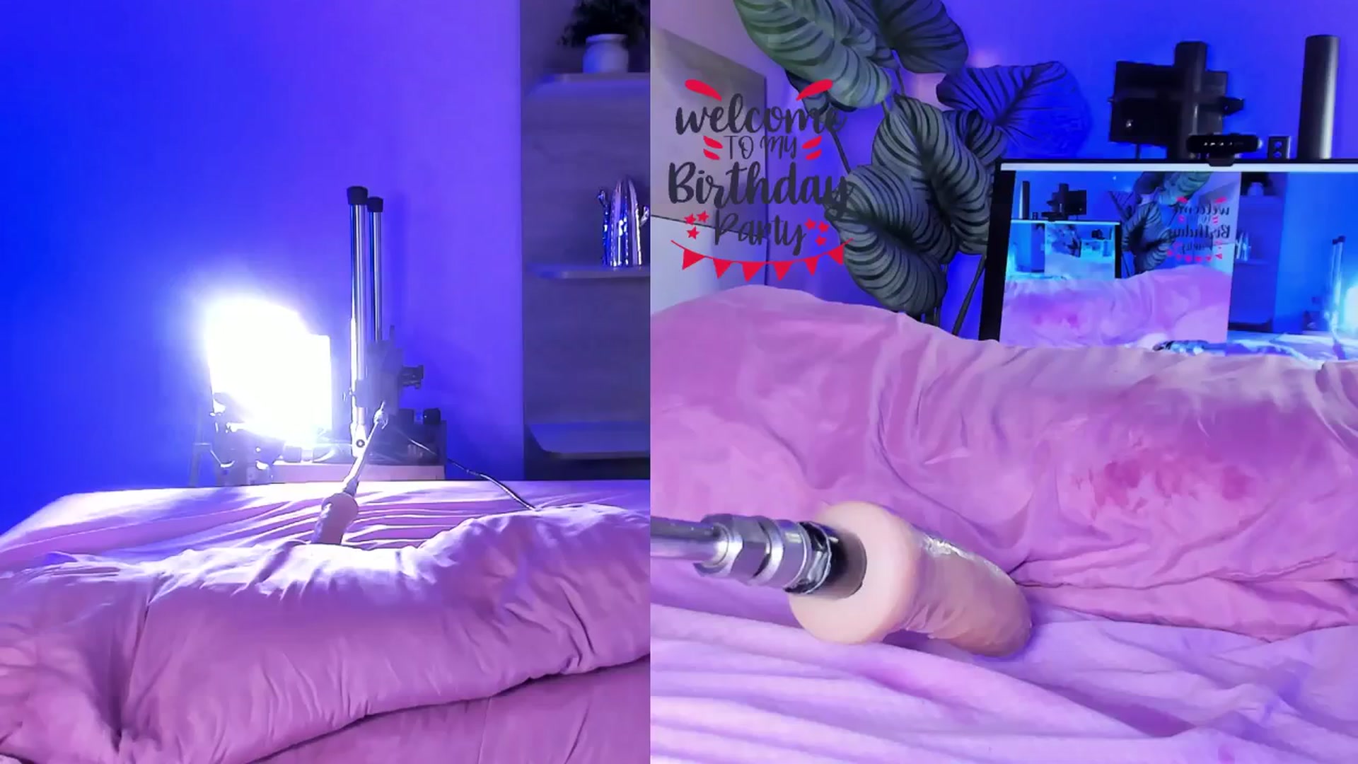 Gallery image thumbnail from emma_colucci's myfreecams stream on, 12/24/2024, 17:43 image 7 of 20