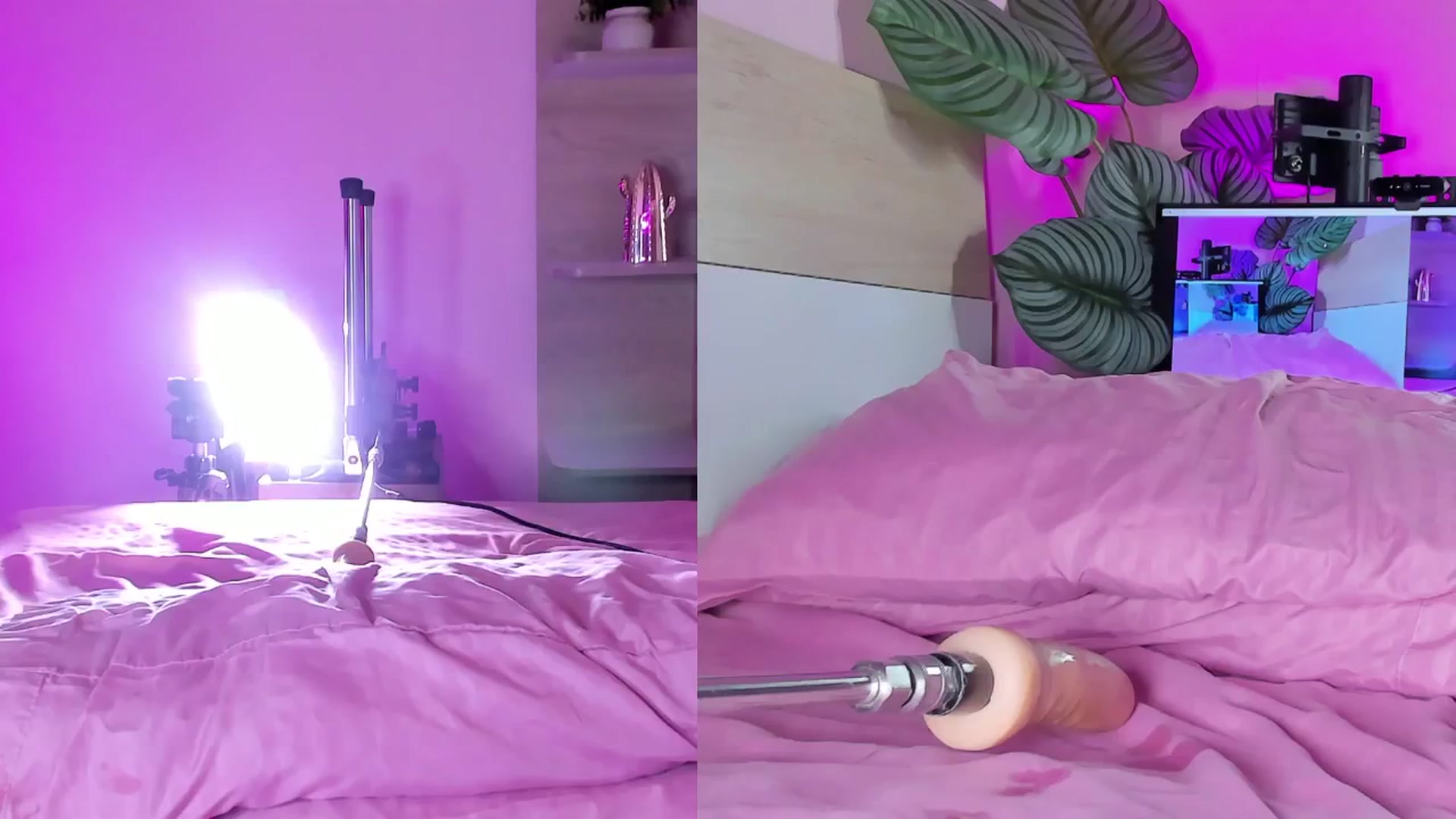 Gallery image thumbnail from emma_colucci's myfreecams stream on, 12/27/2024, 20:45 image 10 of 20