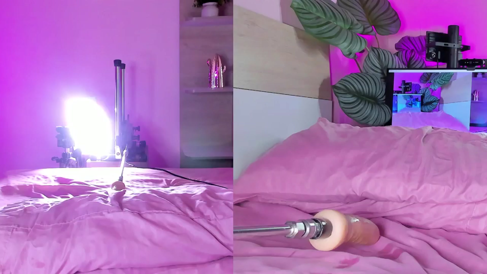 Gallery image thumbnail from emma_colucci's myfreecams stream on, 12/27/2024, 20:45 image 9 of 20
