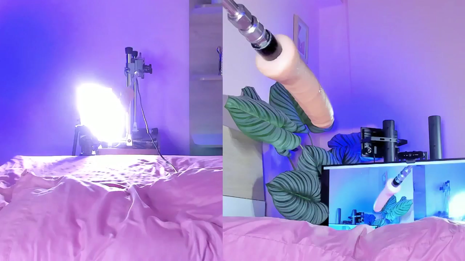 Gallery image thumbnail from emma_colucci's myfreecams stream on, 12/28/2024, 23:27 image 8 of 20