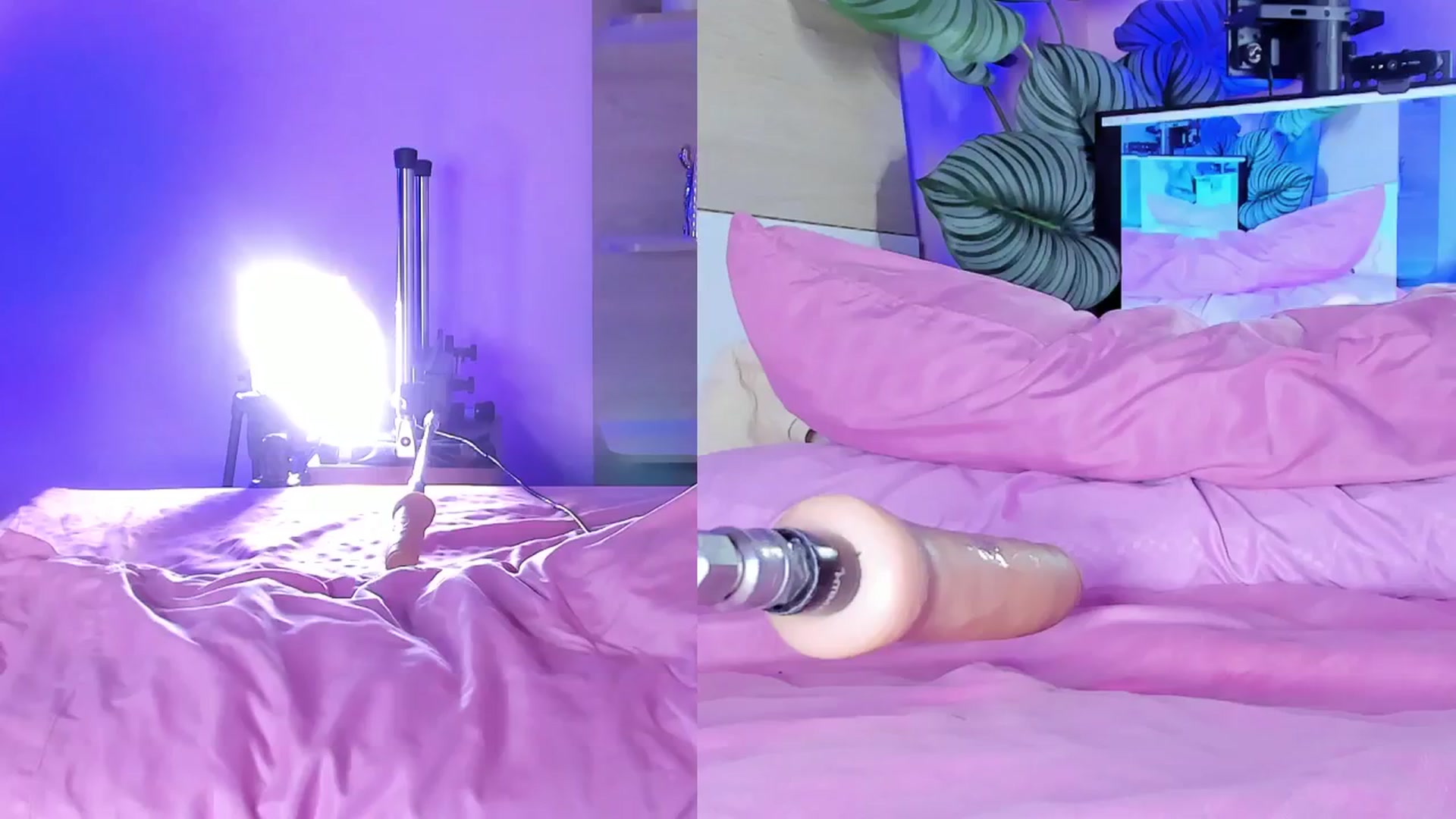 Gallery image thumbnail from emma_colucci's myfreecams stream on, 12/28/2024, 23:27 image 14 of 20
