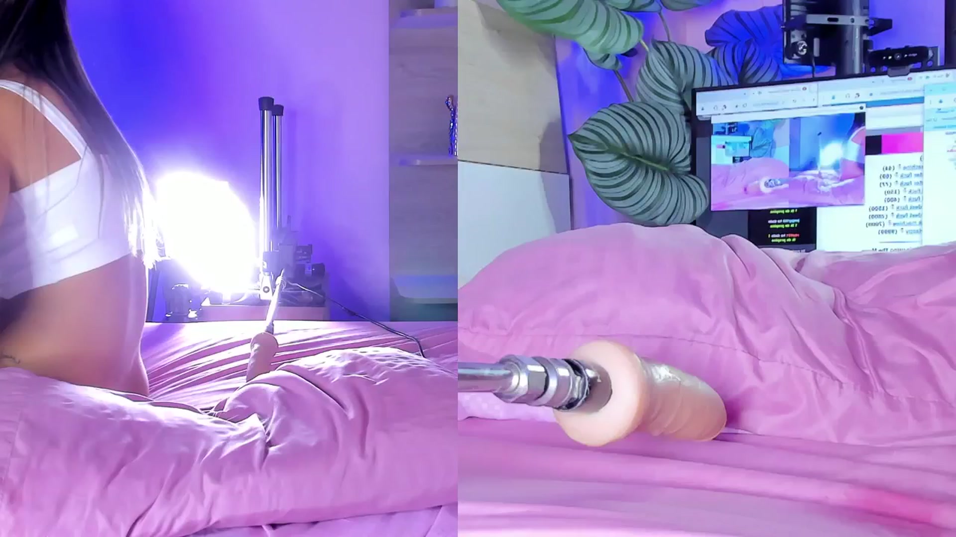 Gallery image thumbnail from emma_colucci's myfreecams stream on, 12/29/2024, 01:12 image 3 of 20