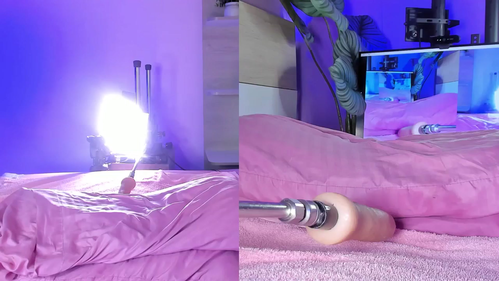 Gallery image thumbnail from emma_colucci's myfreecams stream on, 12/31/2024, 01:15 image 10 of 20