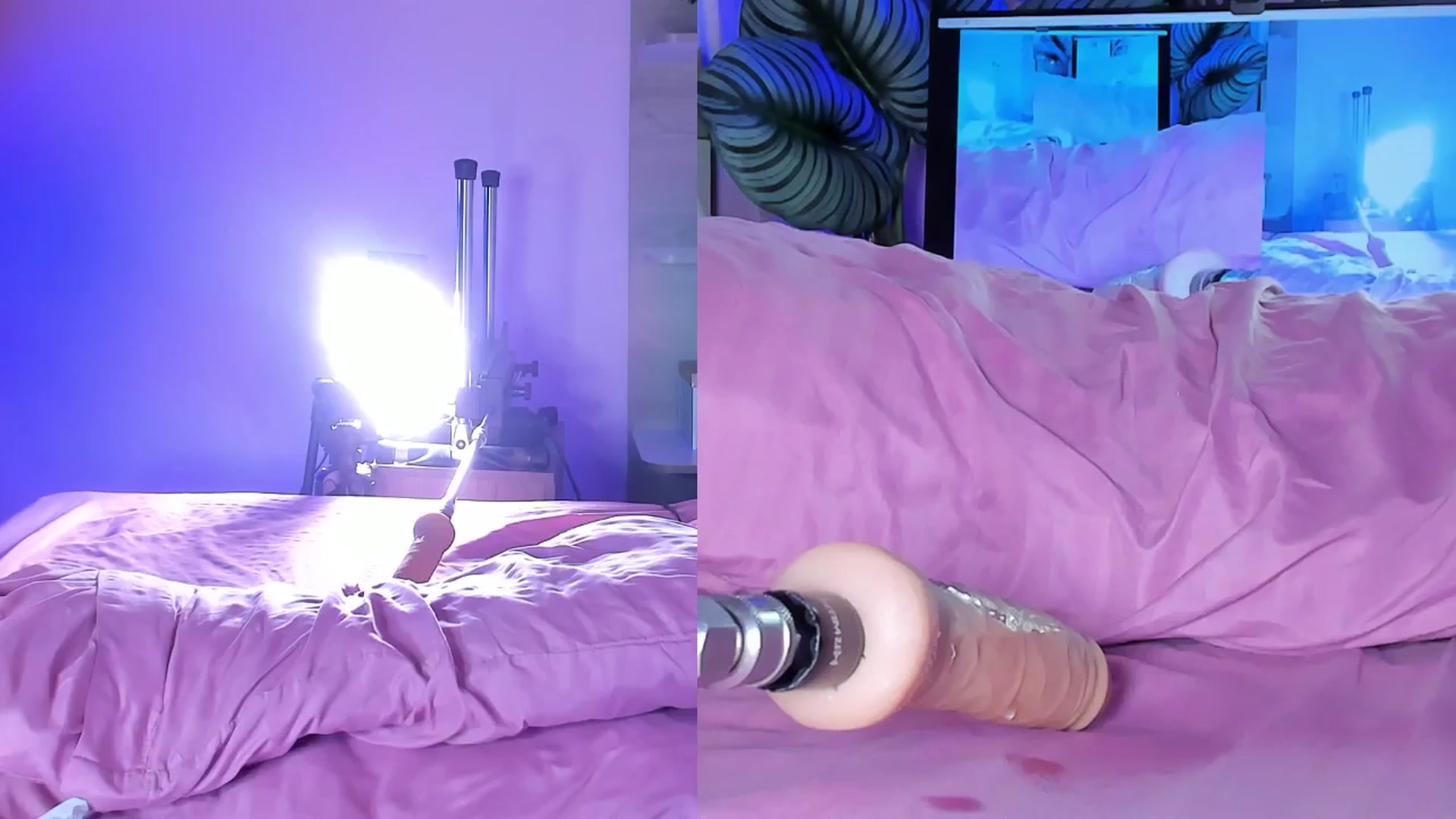 Gallery image thumbnail from emma_colucci's myfreecams stream on, 03/20/2025, 01:00 image 8 of 20