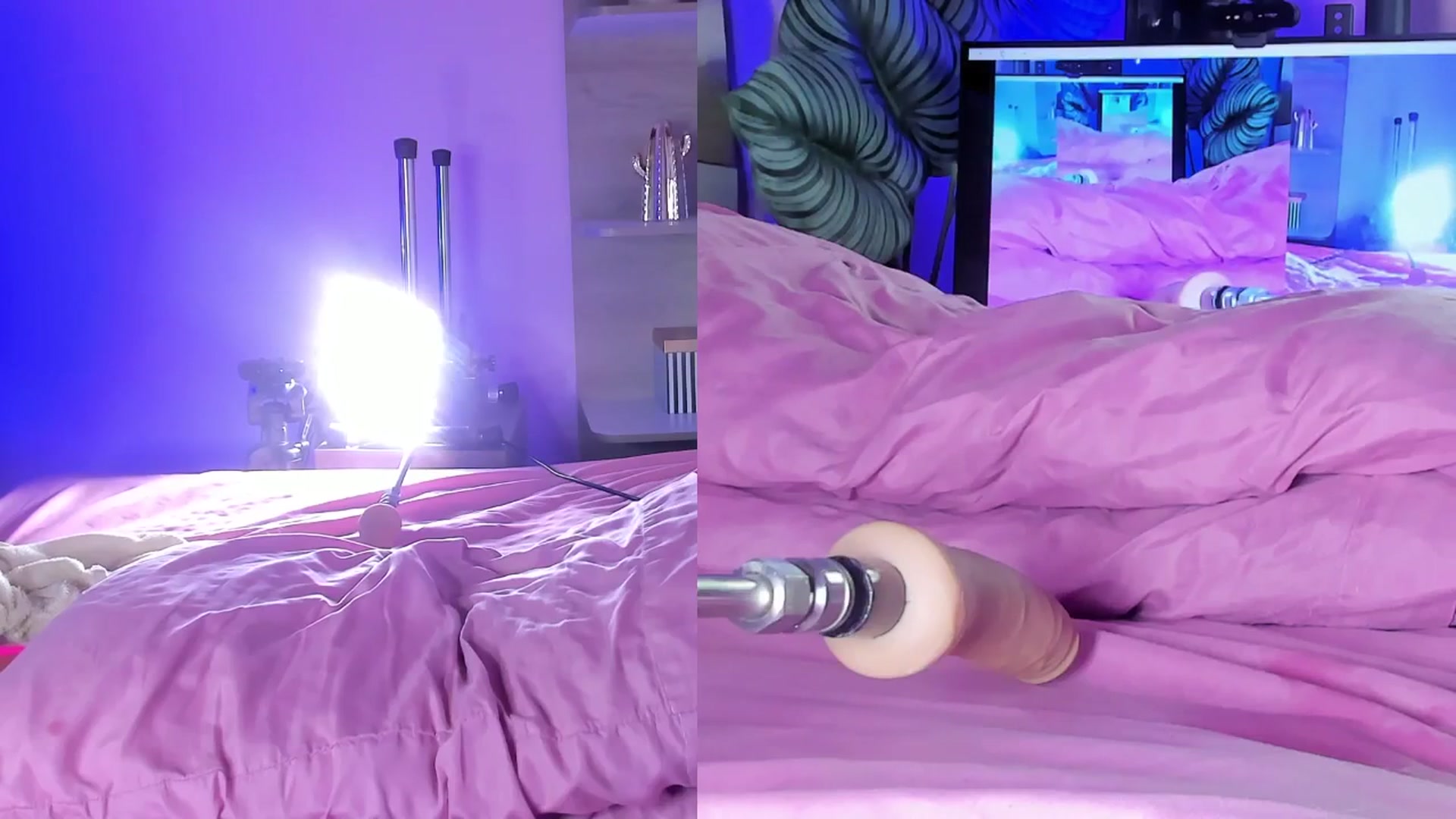 Gallery image thumbnail from emma_colucci's myfreecams stream on, 06/26/2025, 24:54 image 2 of 20