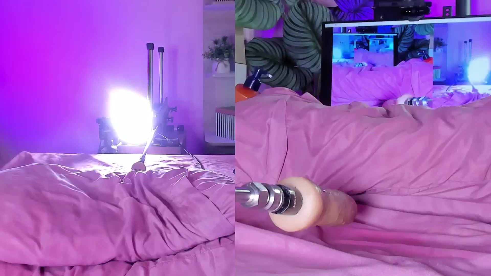 Gallery image thumbnail from emma_colucci's myfreecams stream on, 09/22/2025, 01:35 image 12 of 20