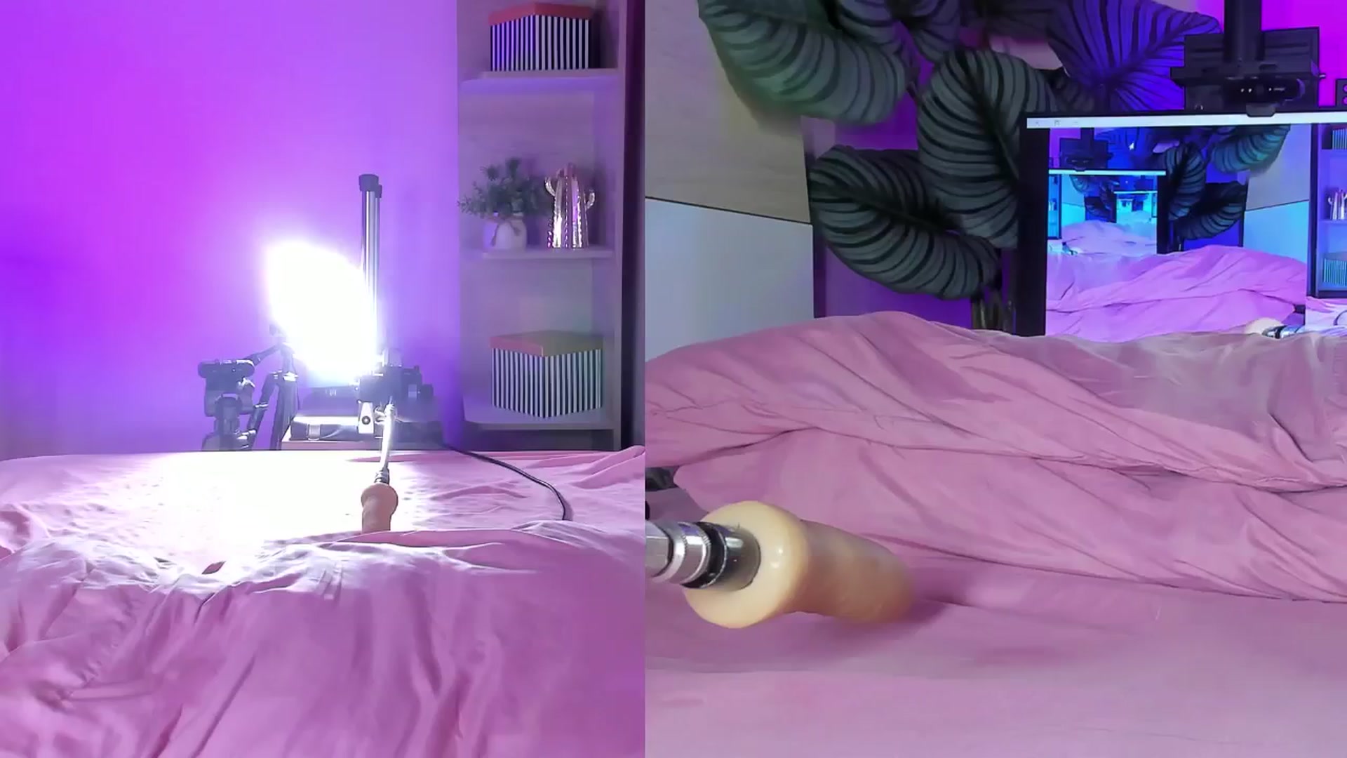 Gallery image thumbnail from emma_colucci's myfreecams stream on, 10/01/2025, 24:23 image 4 of 20