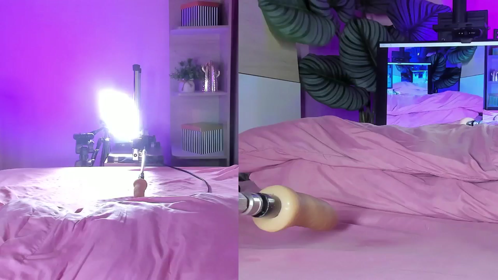 Gallery image thumbnail from emma_colucci's myfreecams stream on, 10/01/2025, 24:23 image 1 of 20
